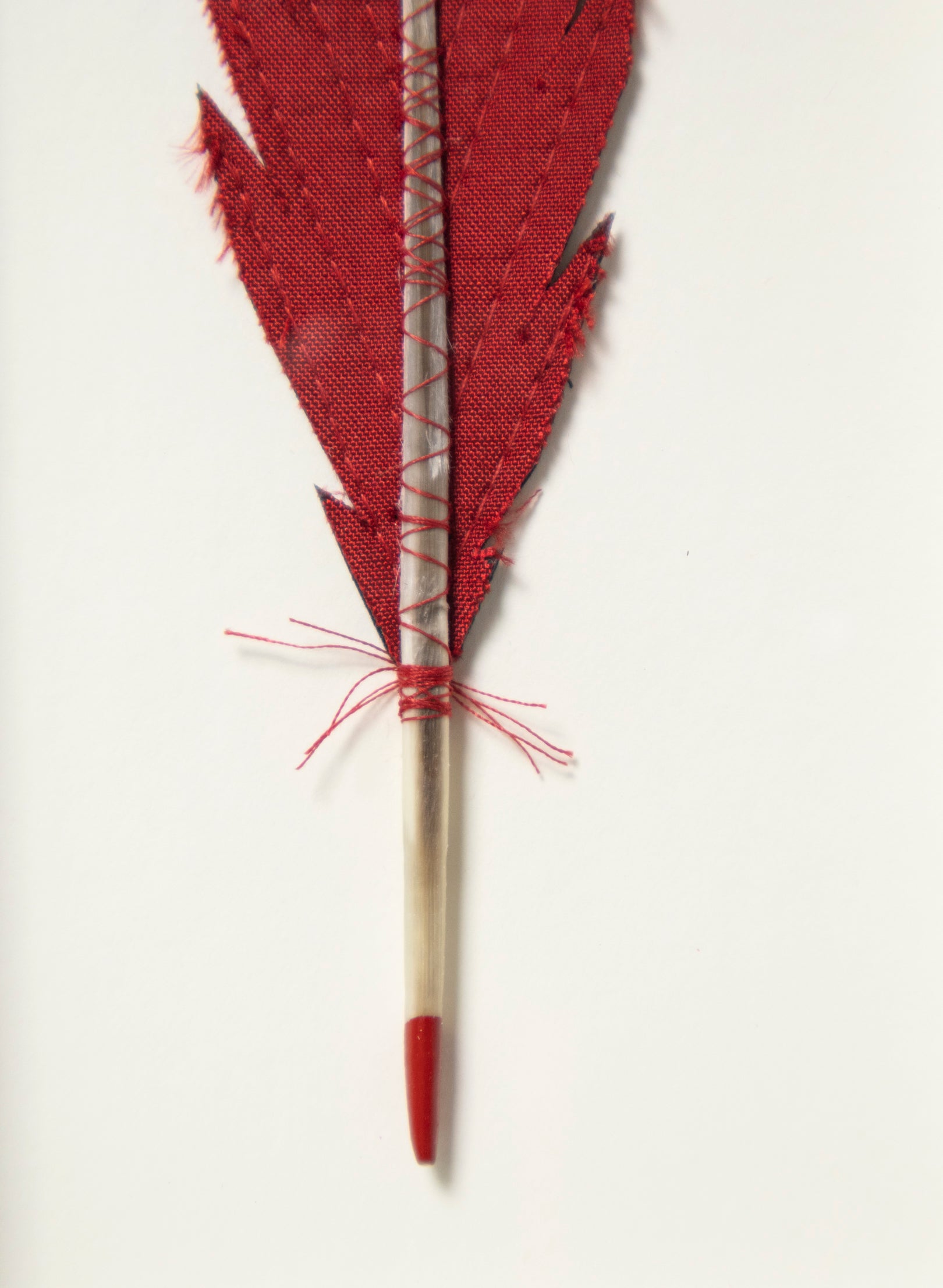 Single Huia Feather Framed