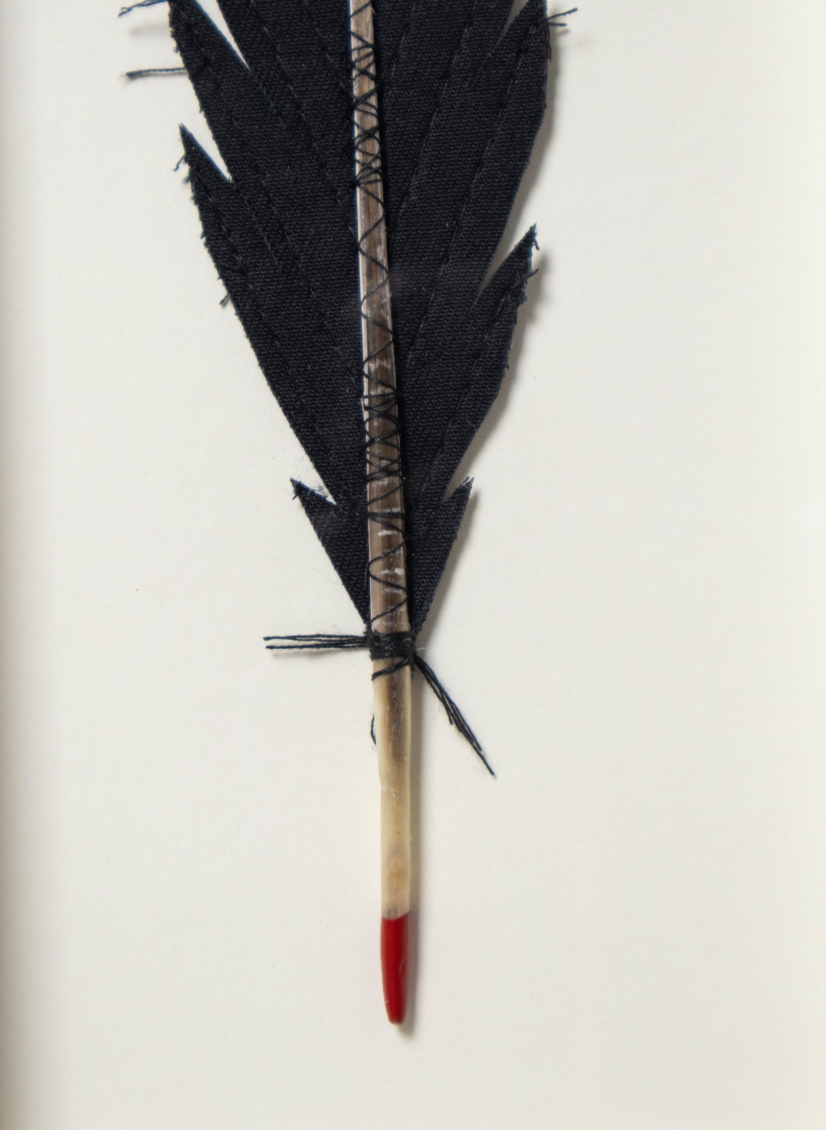 Single Huia Feather Framed