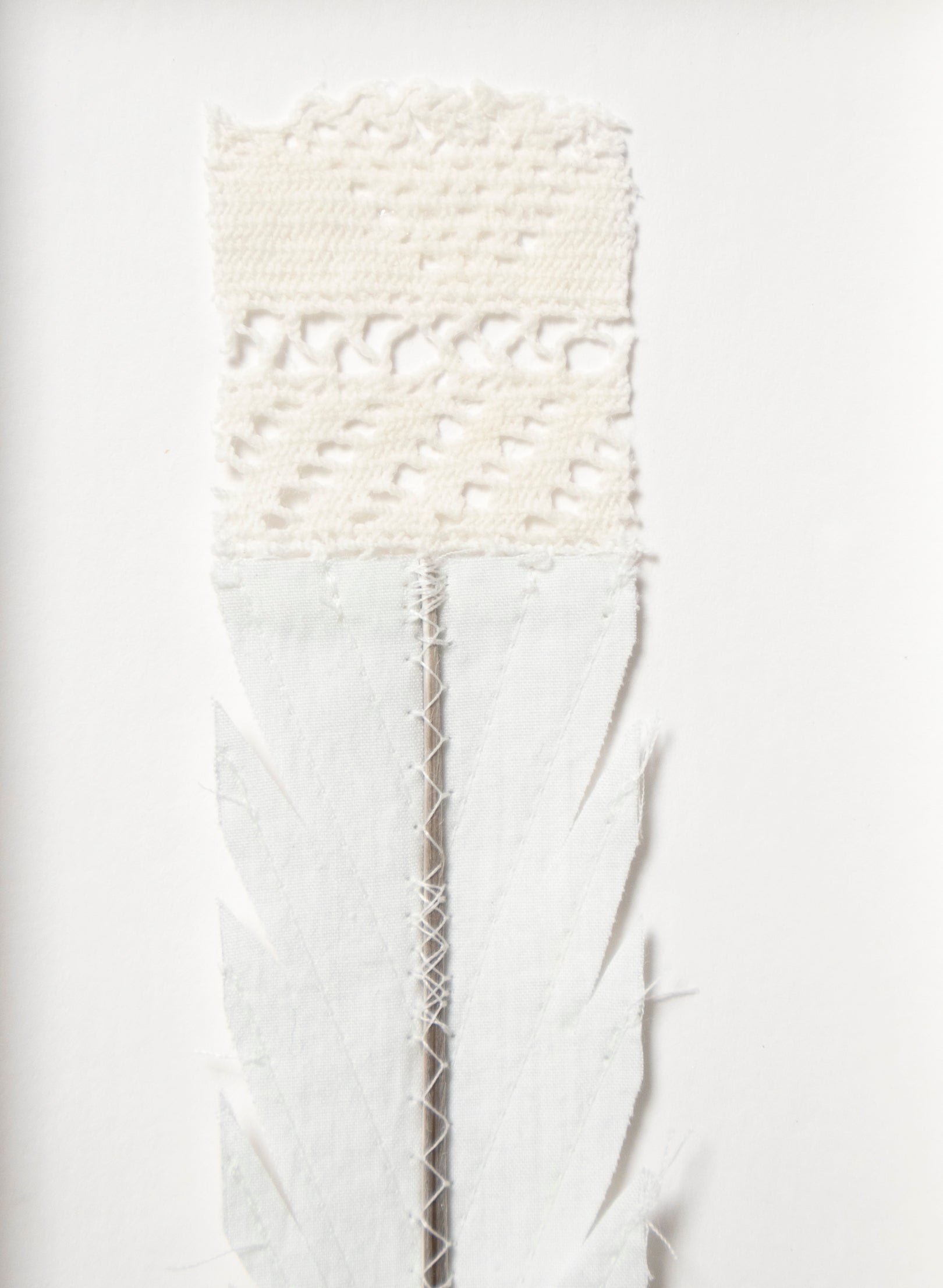 Single Huia Feather Framed