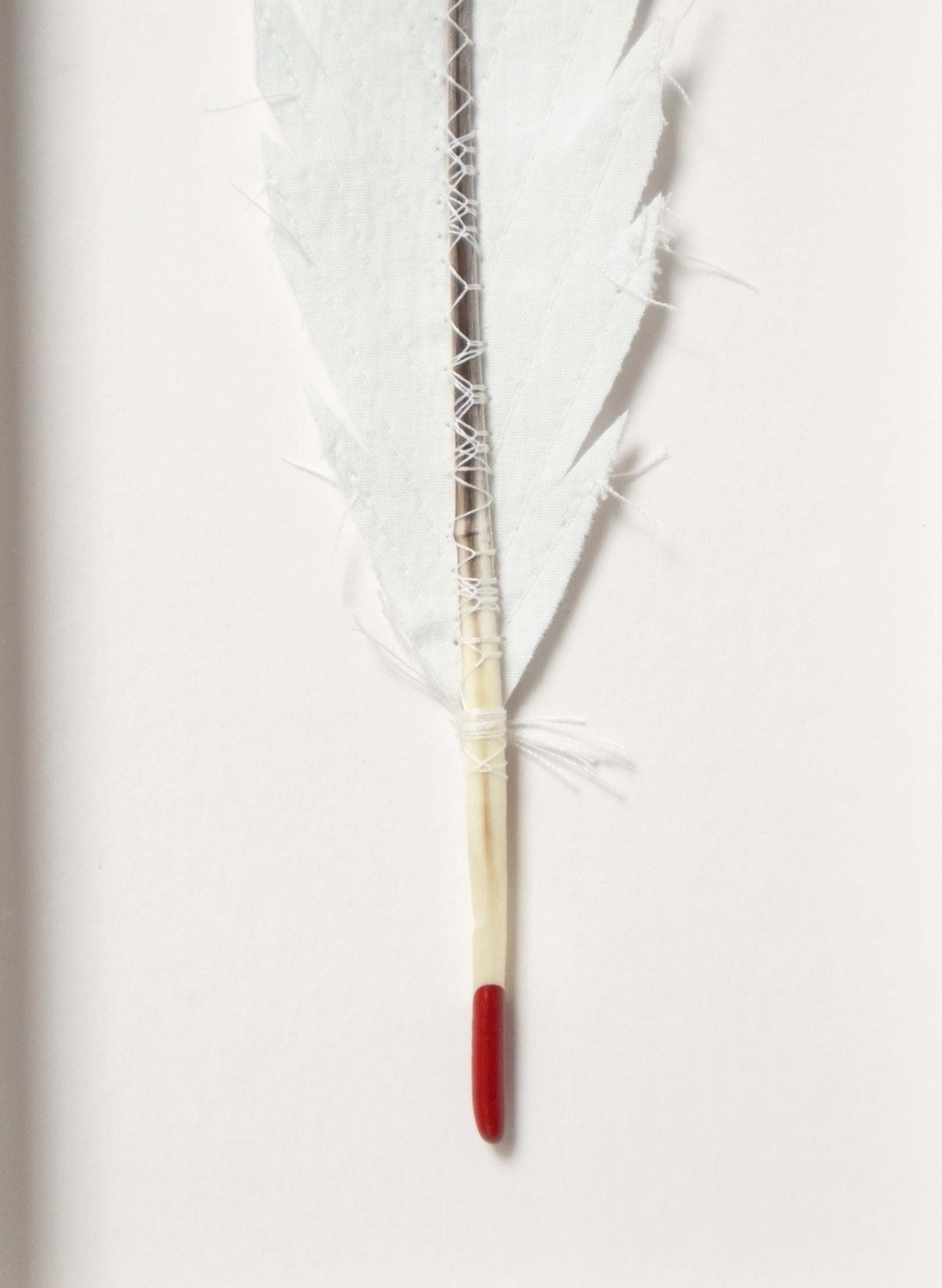 Single Huia Feather Framed