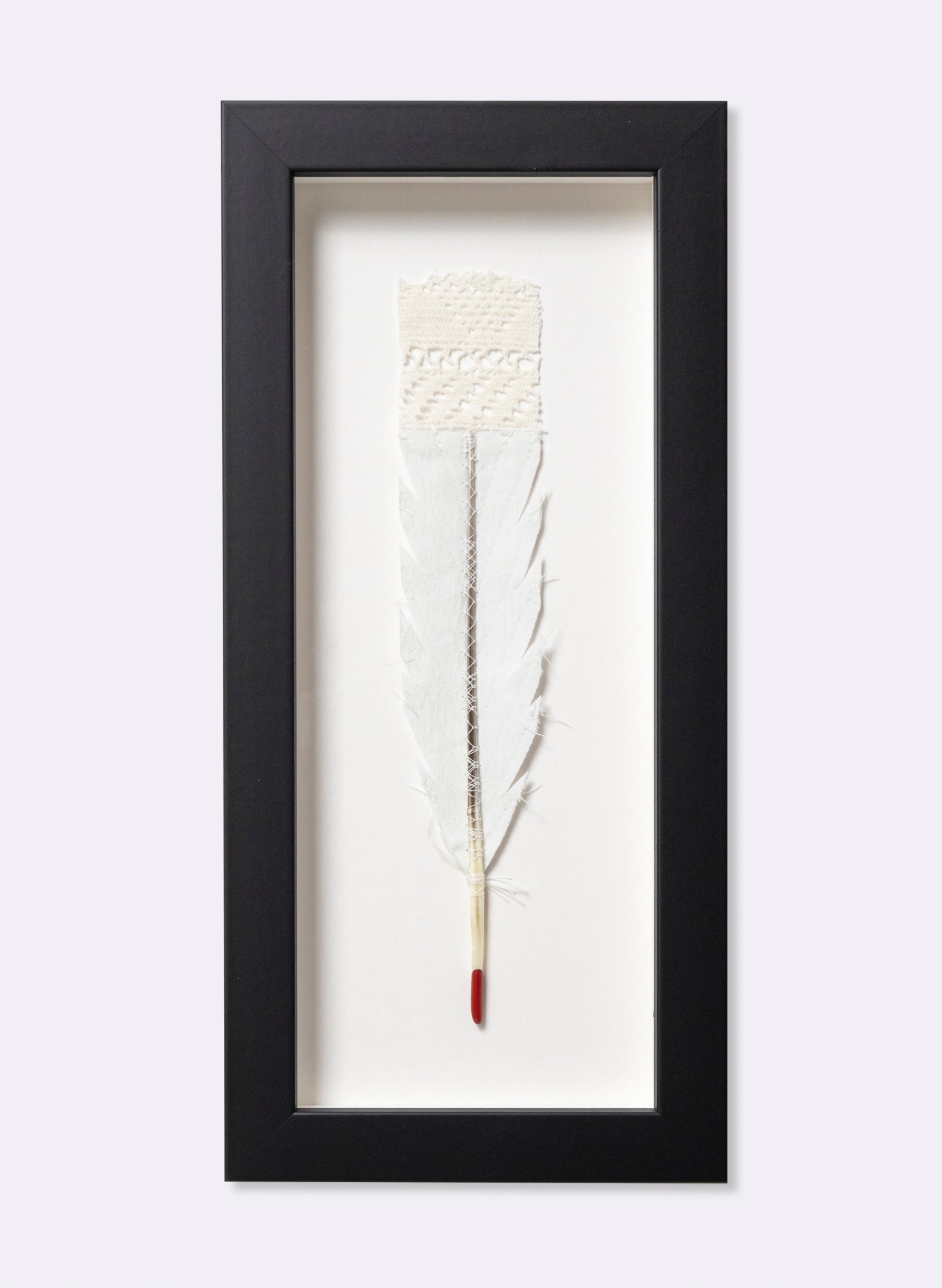 Single Huia Feather Framed