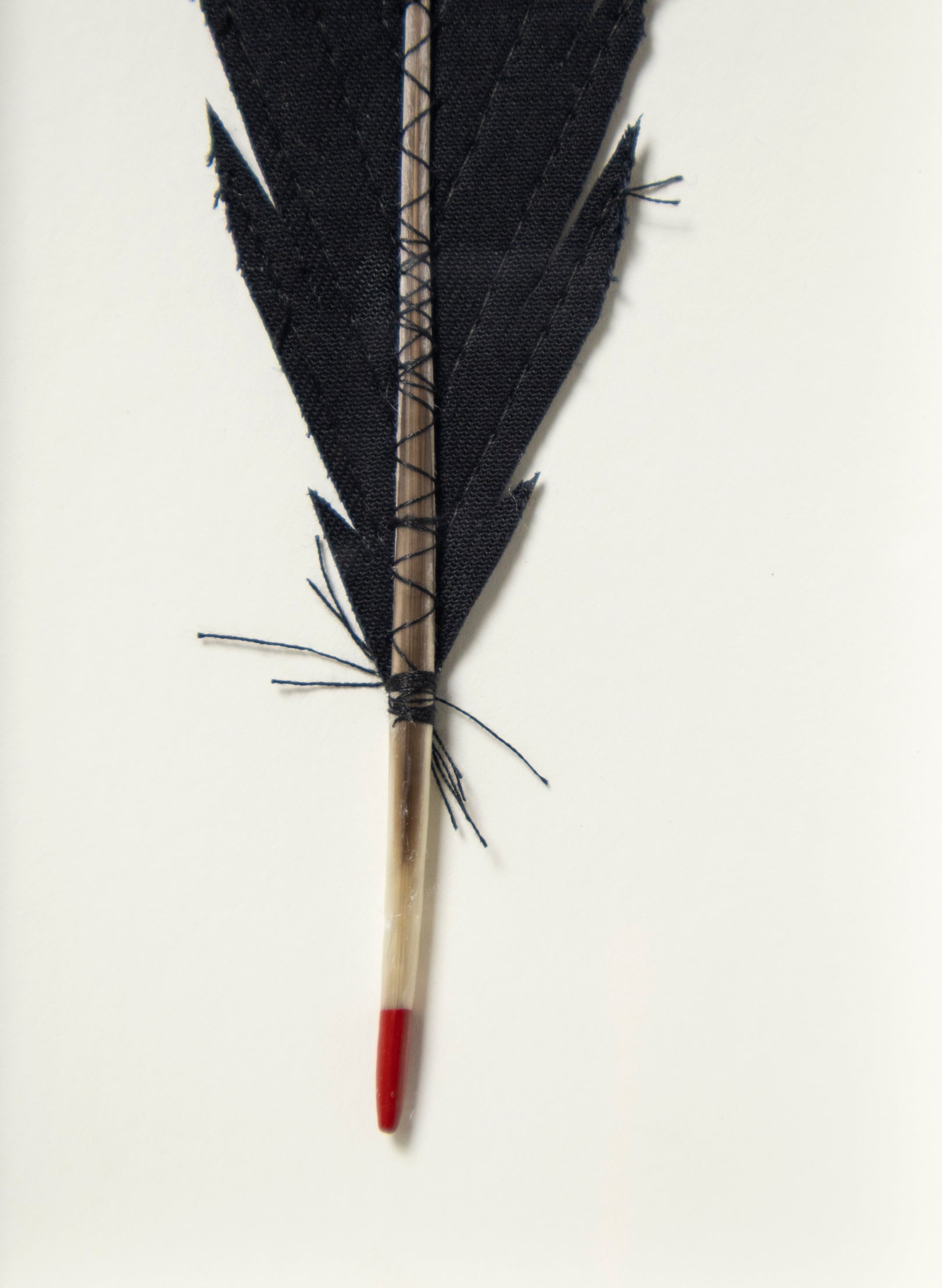 Single Huia Feather Framed