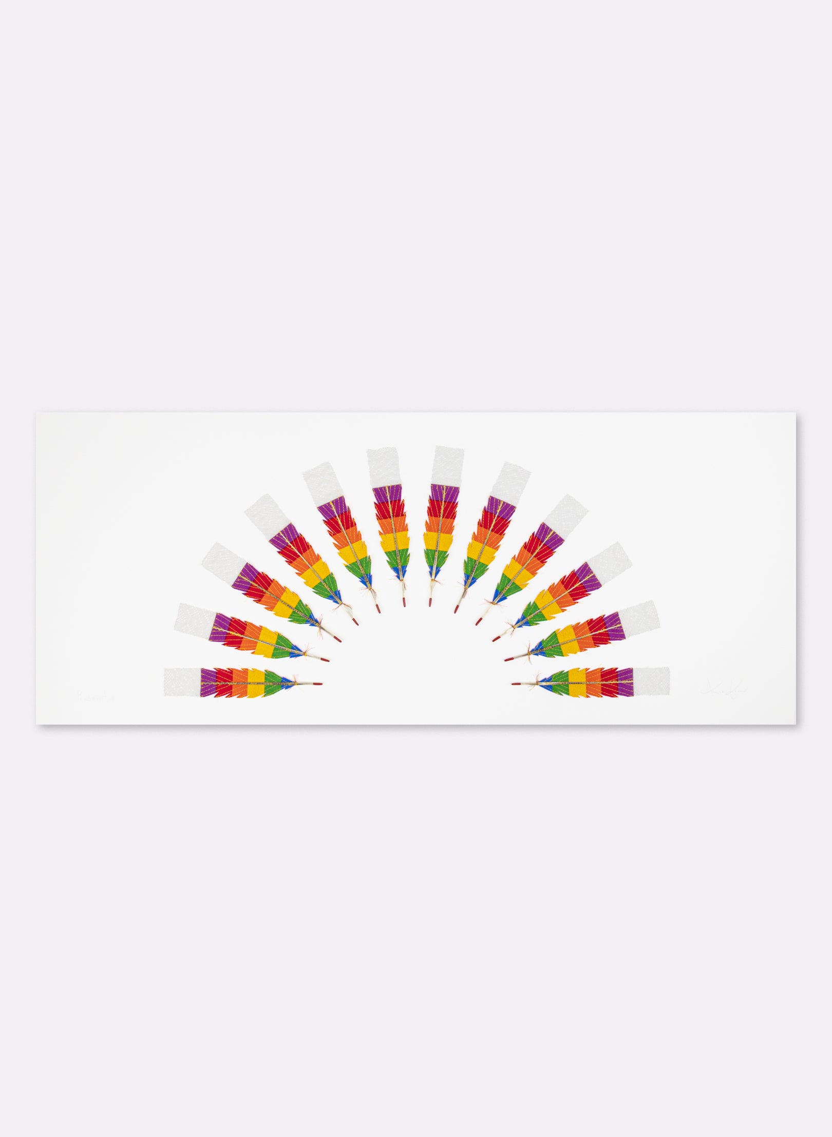 Prismatic 12 Huia Feathers Rainbow Framed
