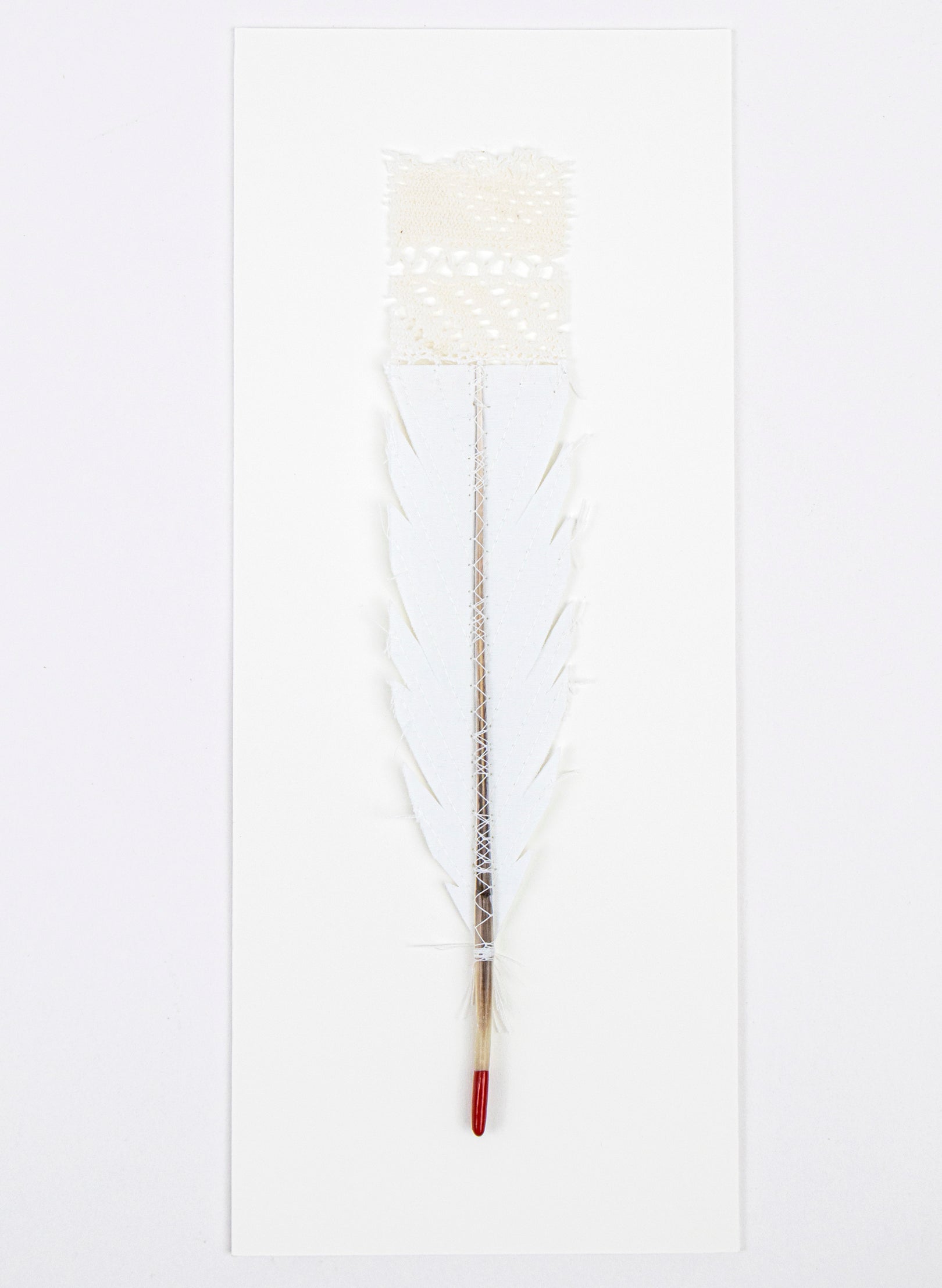 Single Huia Feather Framed