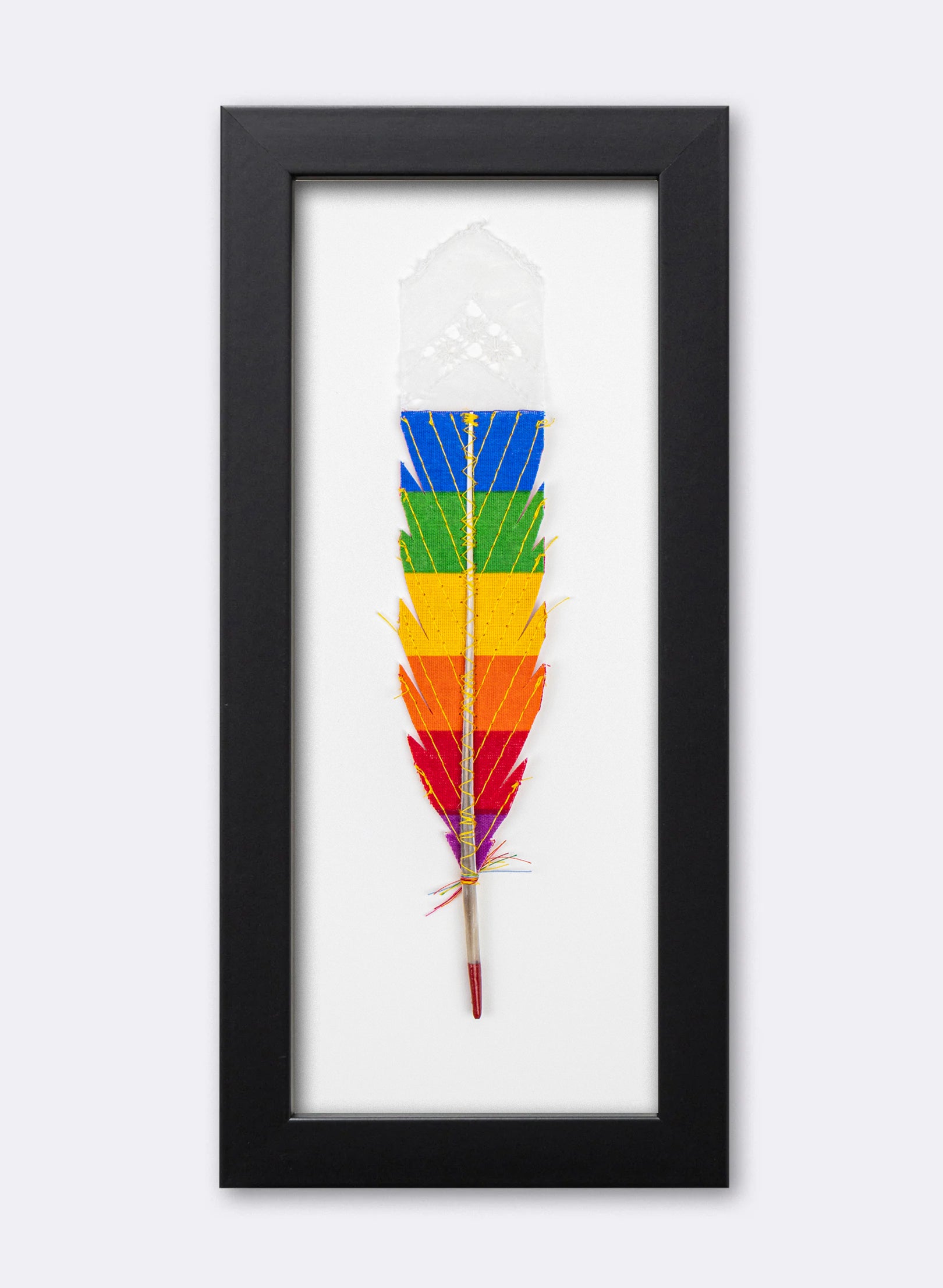 Single Huia Feather Framed