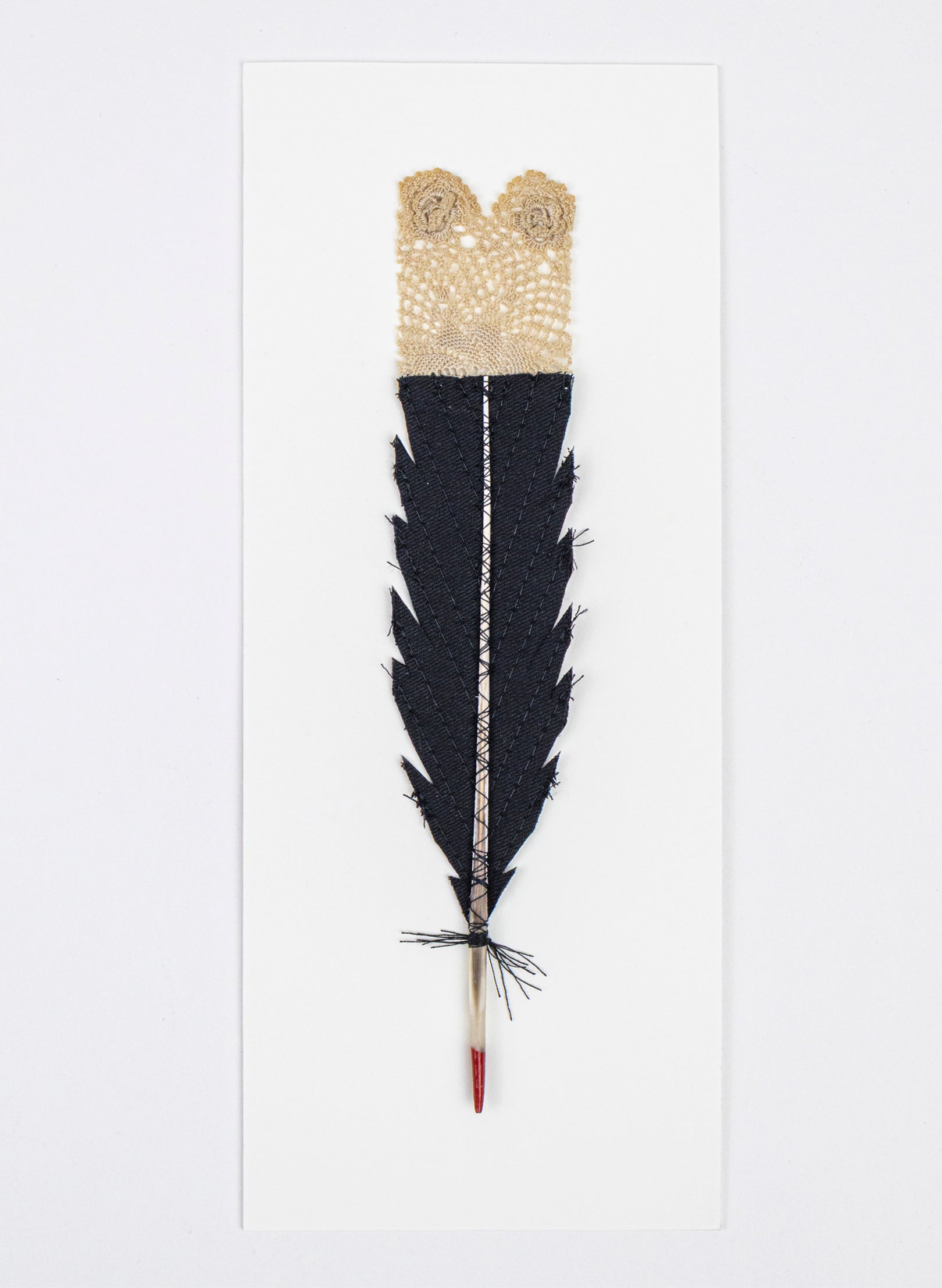 Single Huia Feather Framed