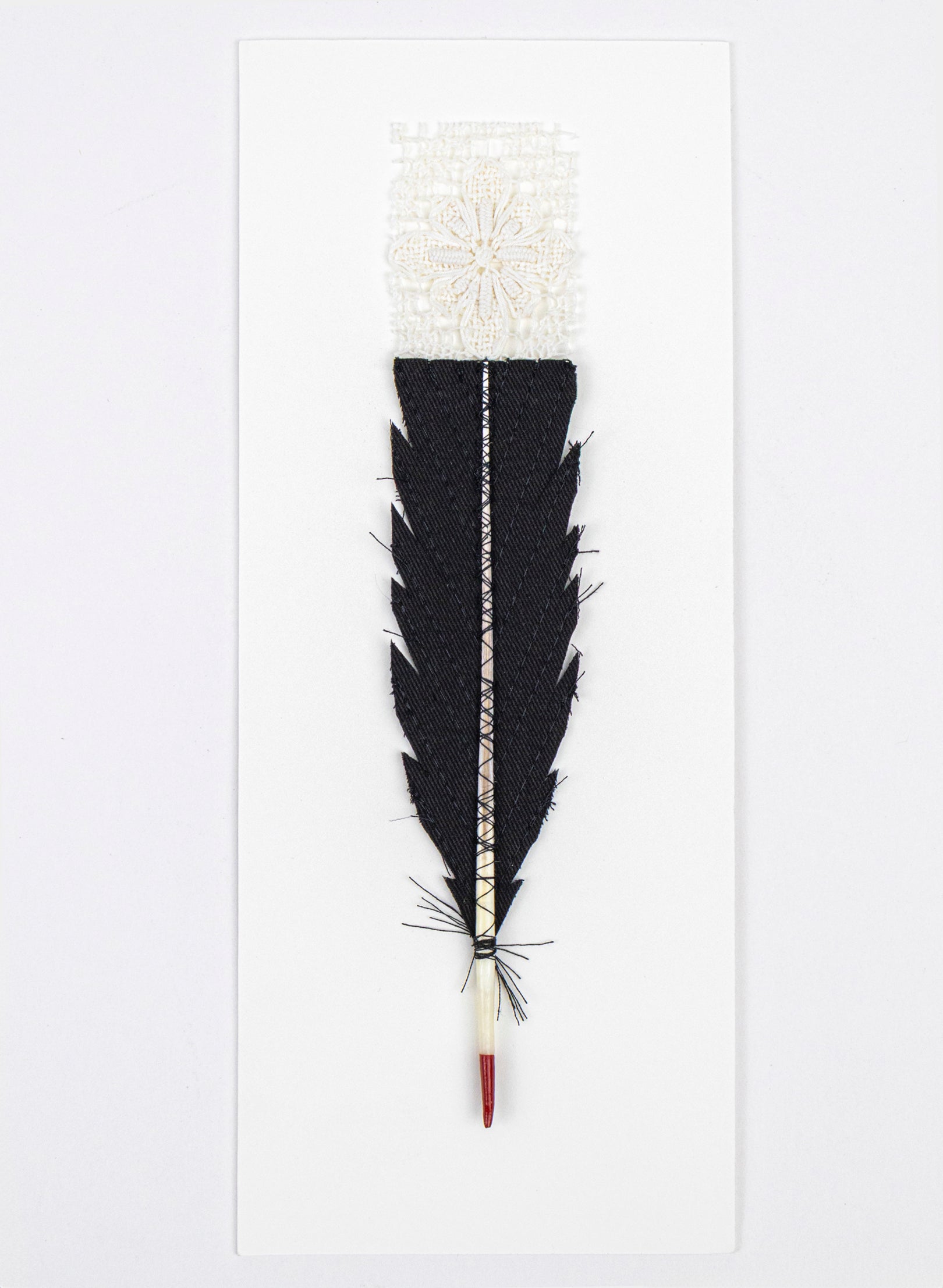 Single Huia Feather Framed