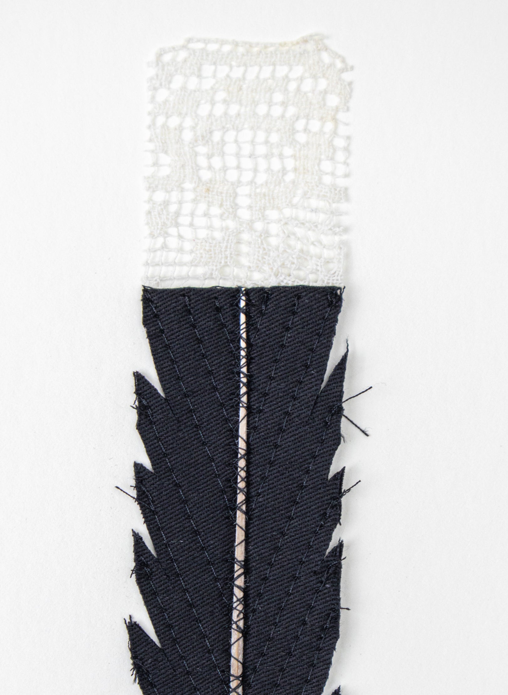 Single Huia Feather Framed