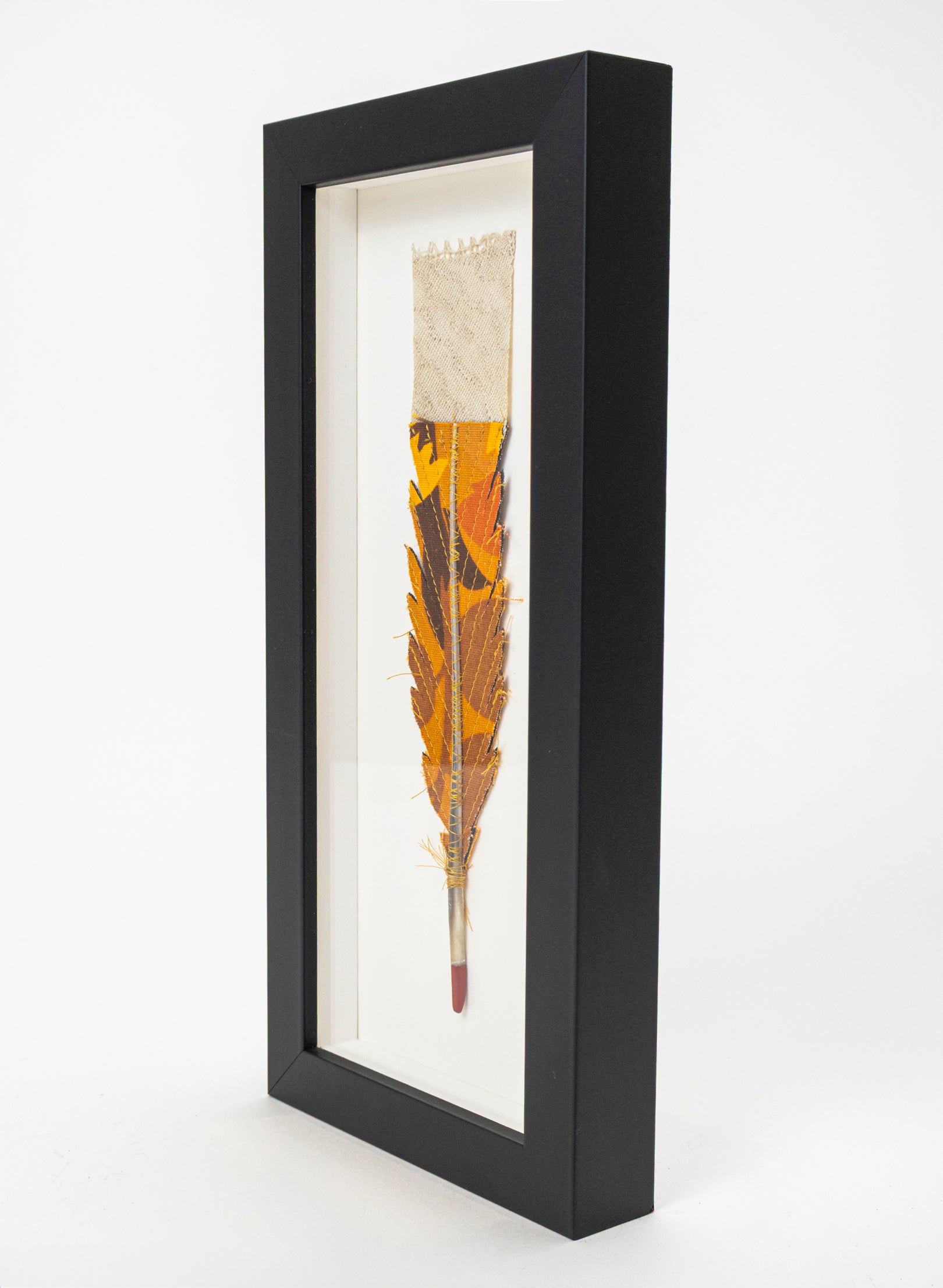 Single Huia Feather Framed