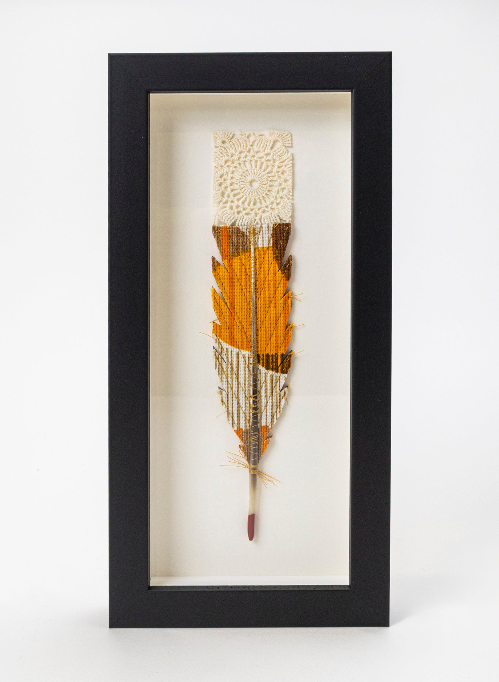 Single Huia Feather Framed