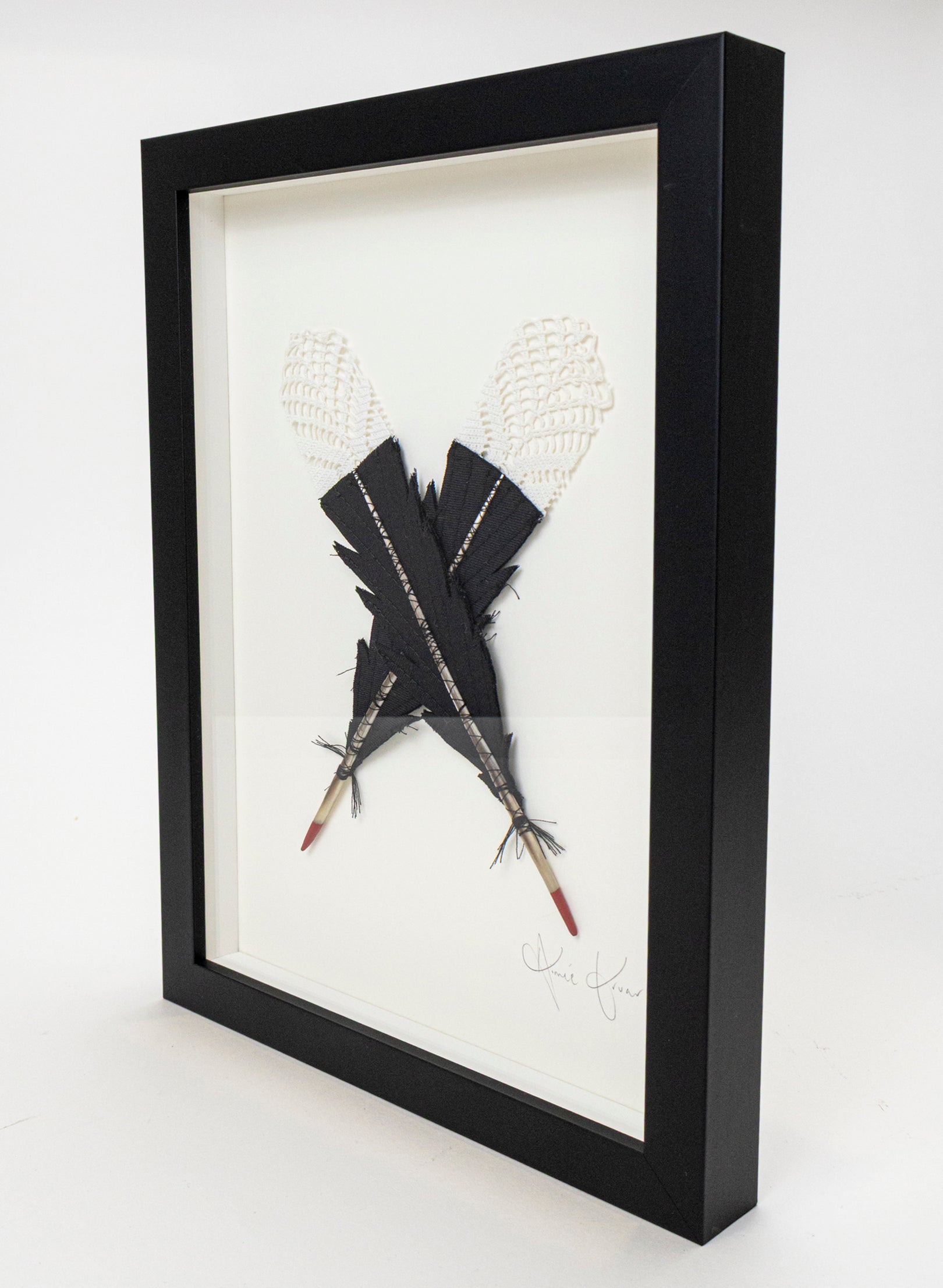 Small X Huia Feathers Framed