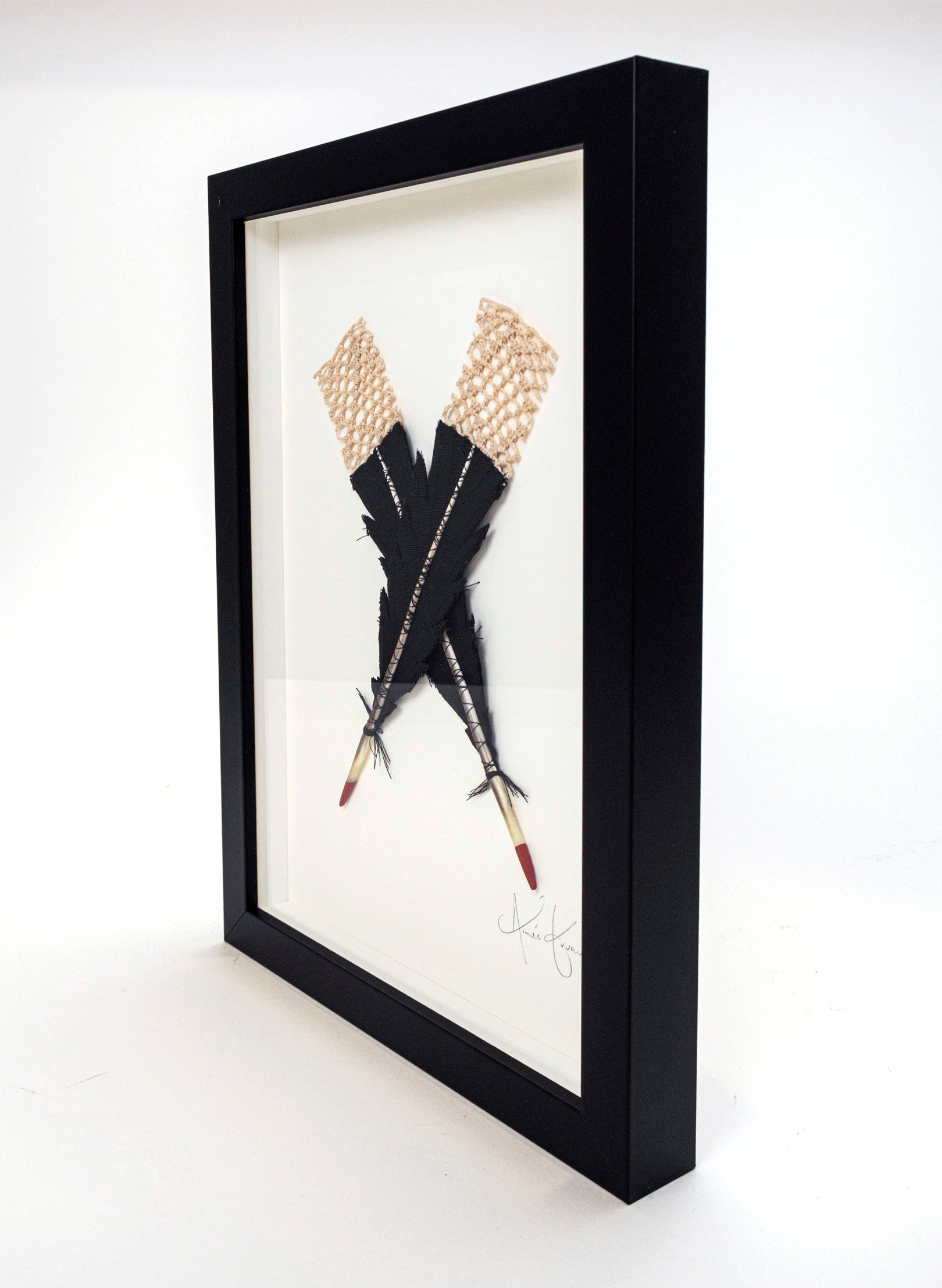 Small X Huia Feathers Framed