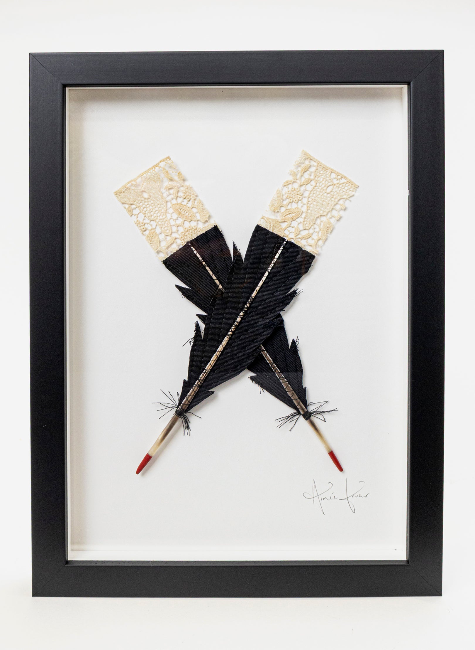 Small X Huia Feathers Framed