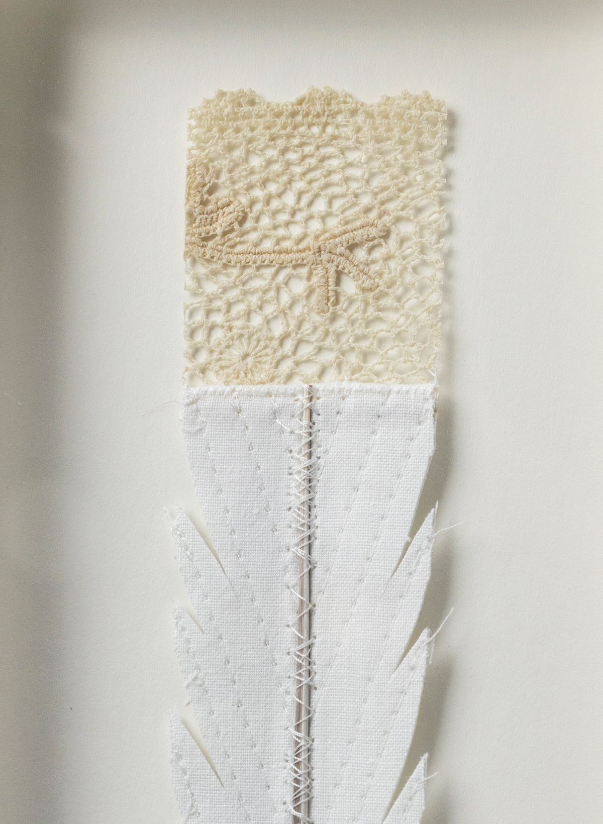 Single Huia Feather Framed