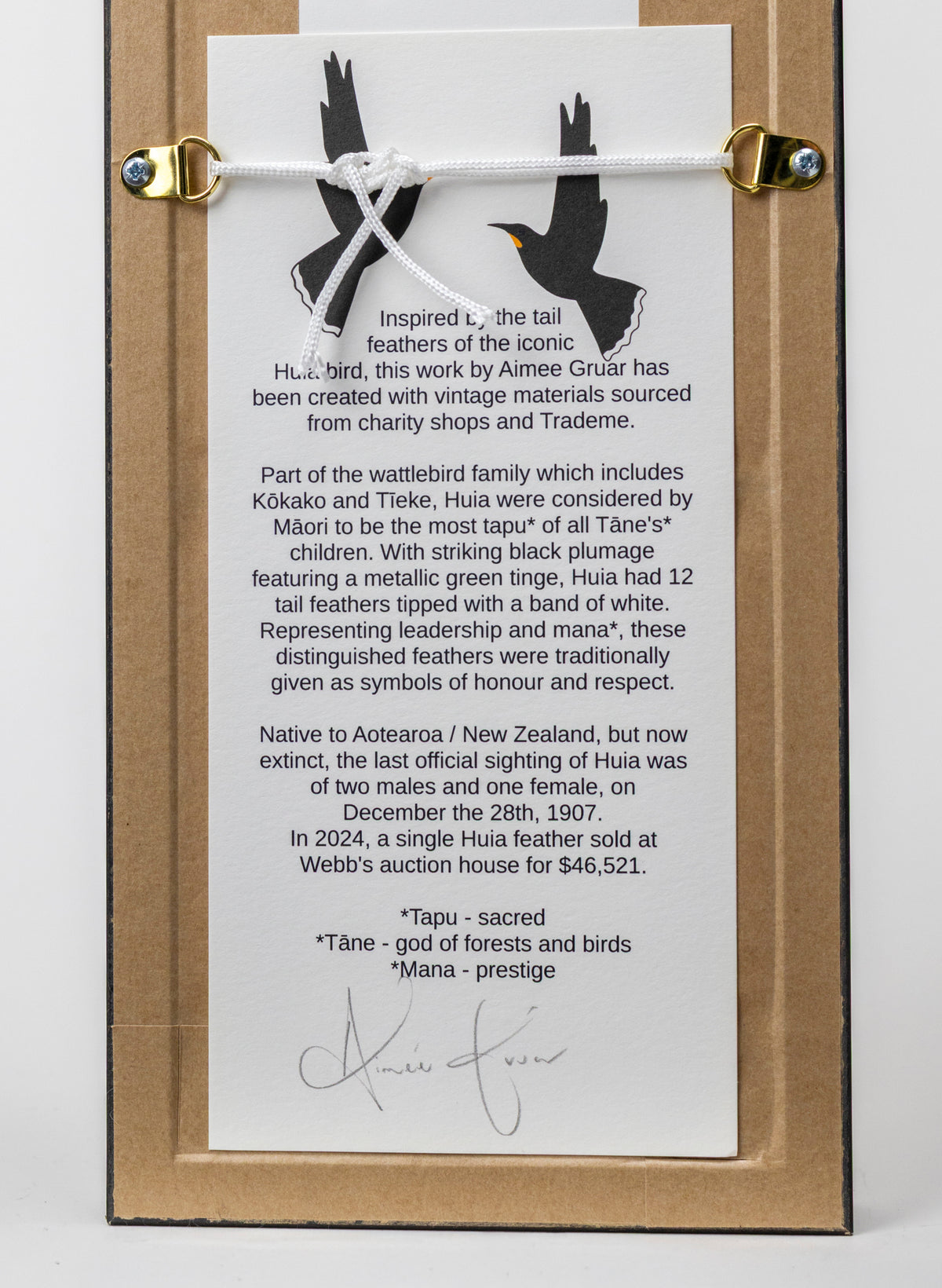 Single Huia Feather Framed