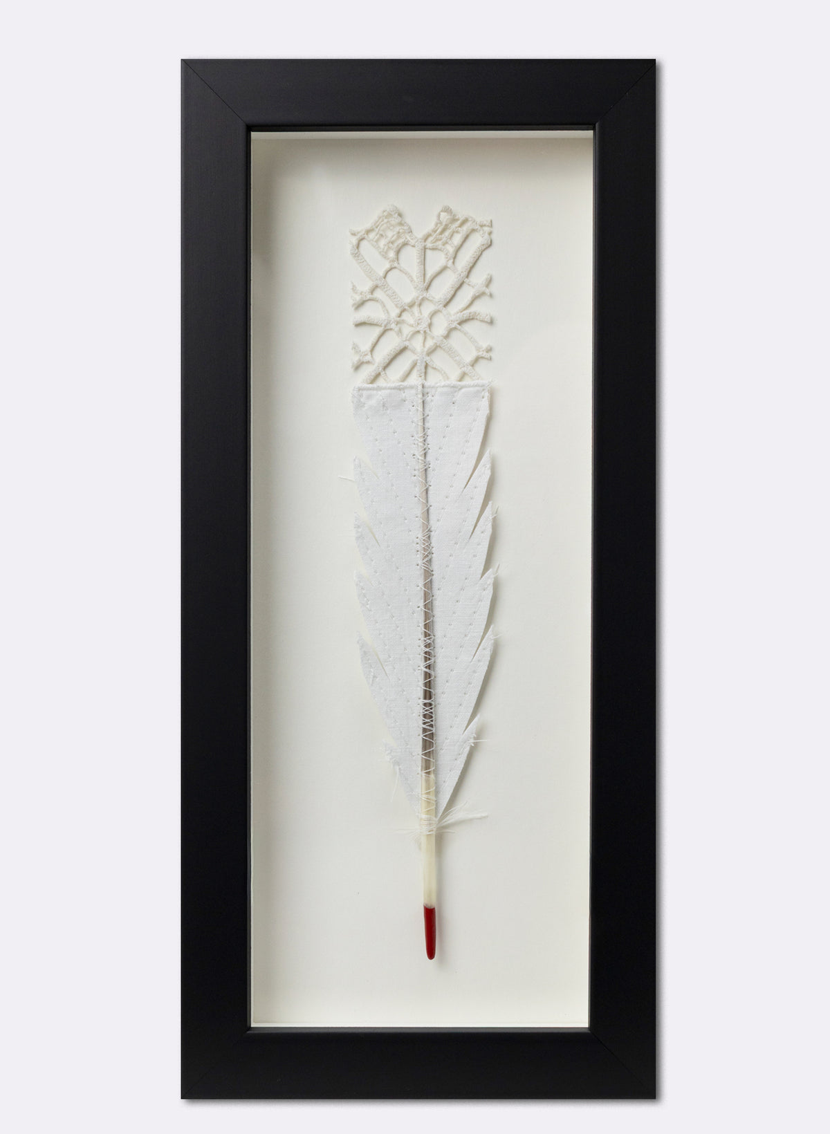 Single Huia Feather Framed