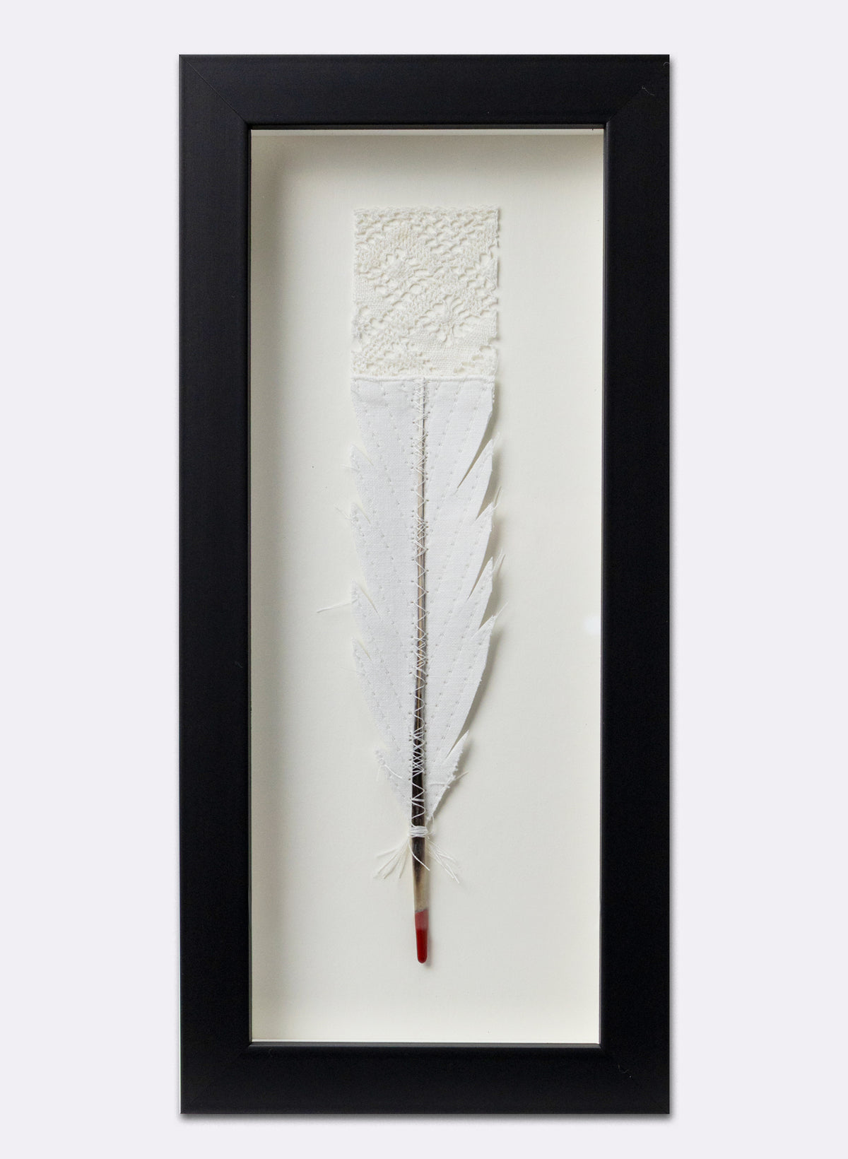 Single Huia Feather Framed