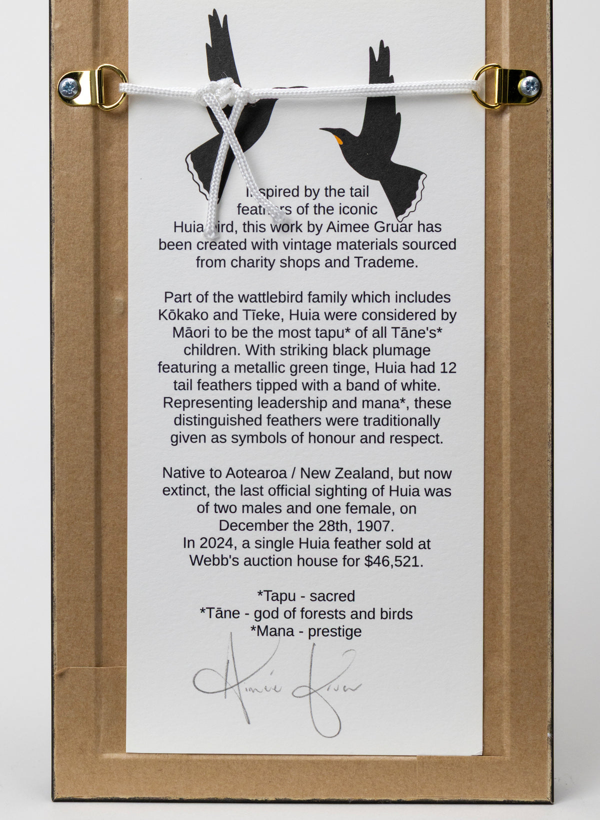 Single Huia Feather Framed