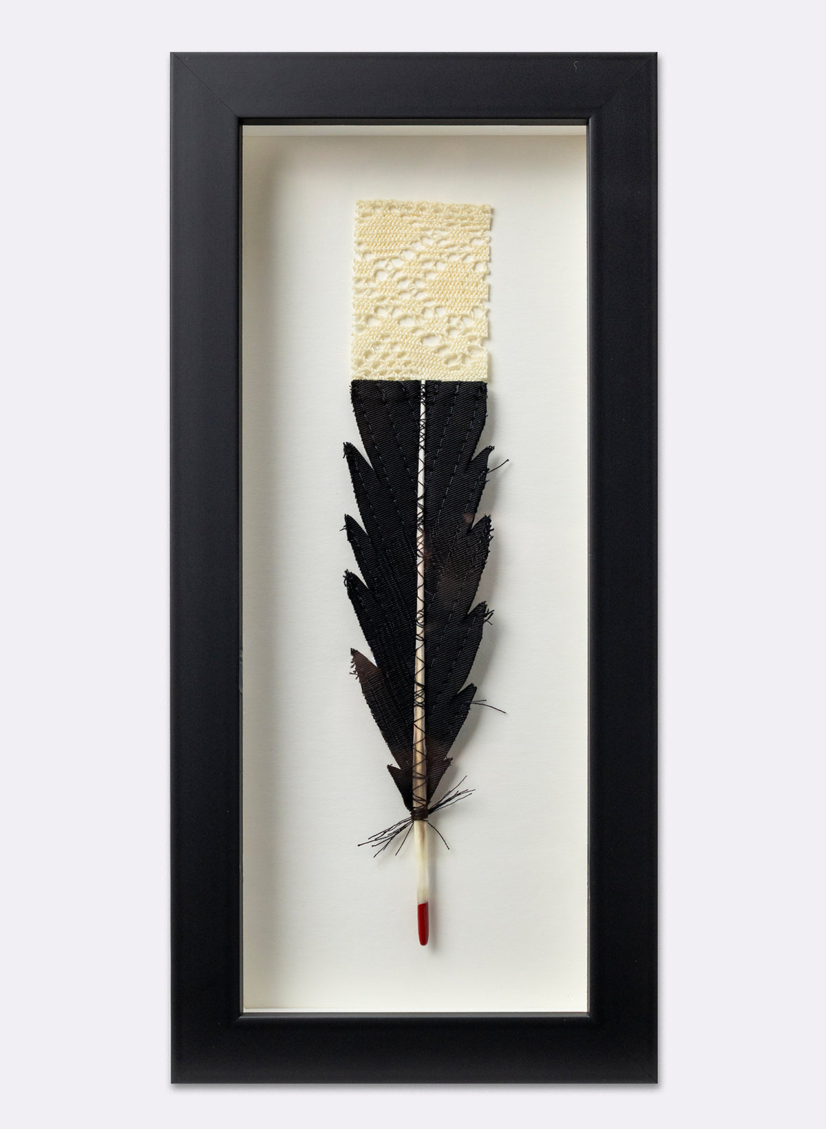 Single Huia Feather Framed