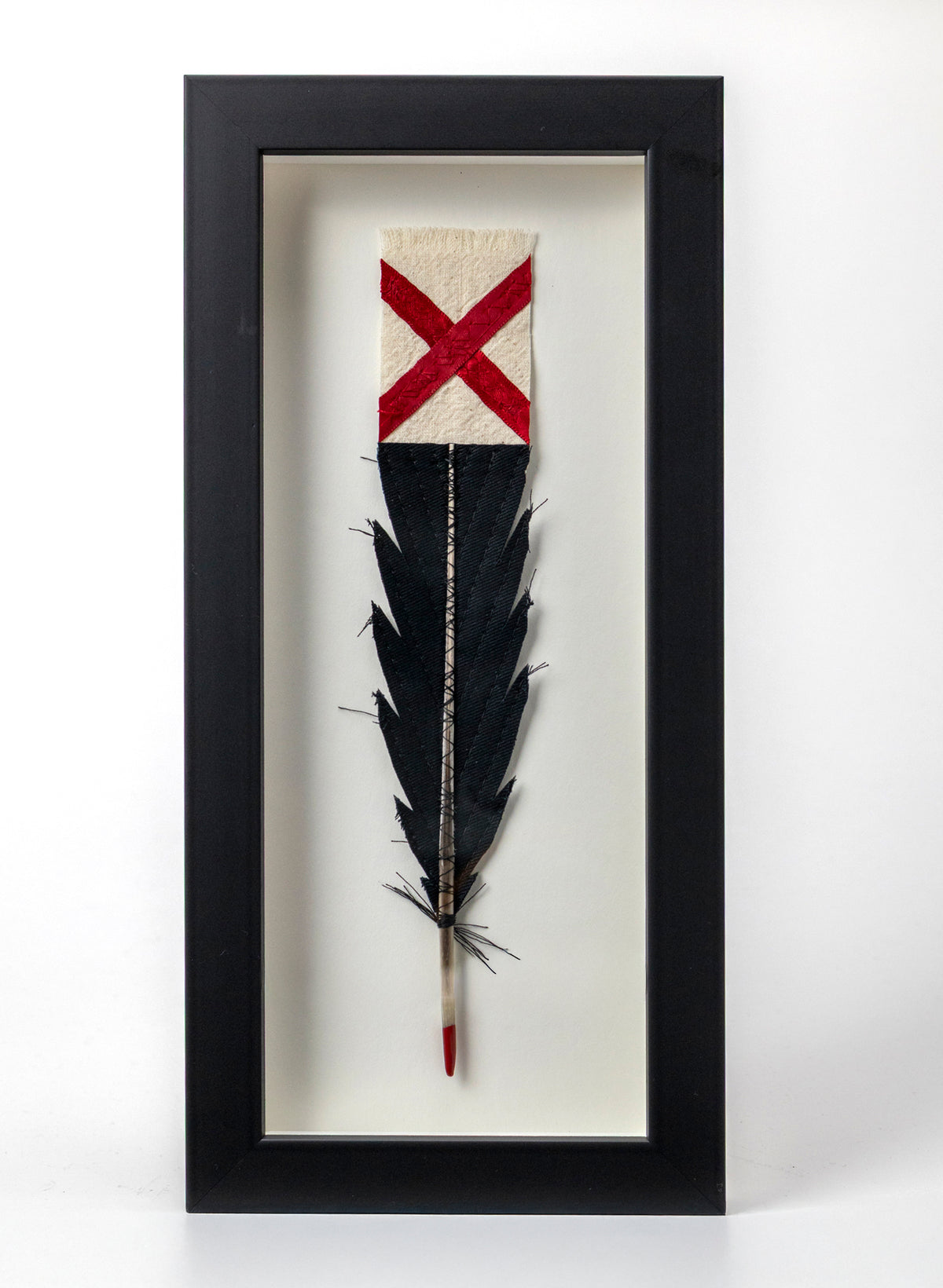 Single Huia Feather Framed