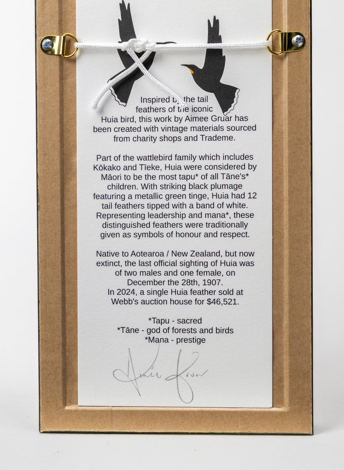 Single Huia Feather Framed