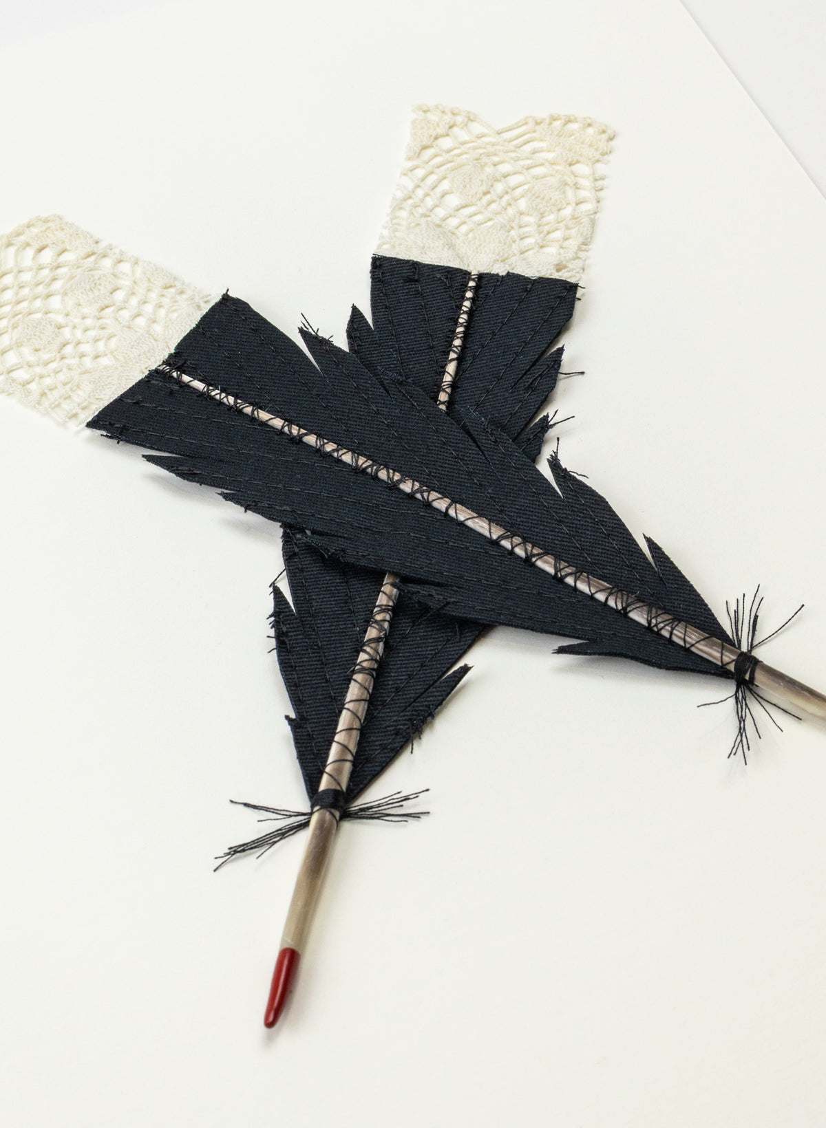 Small X Huia Feathers Framed