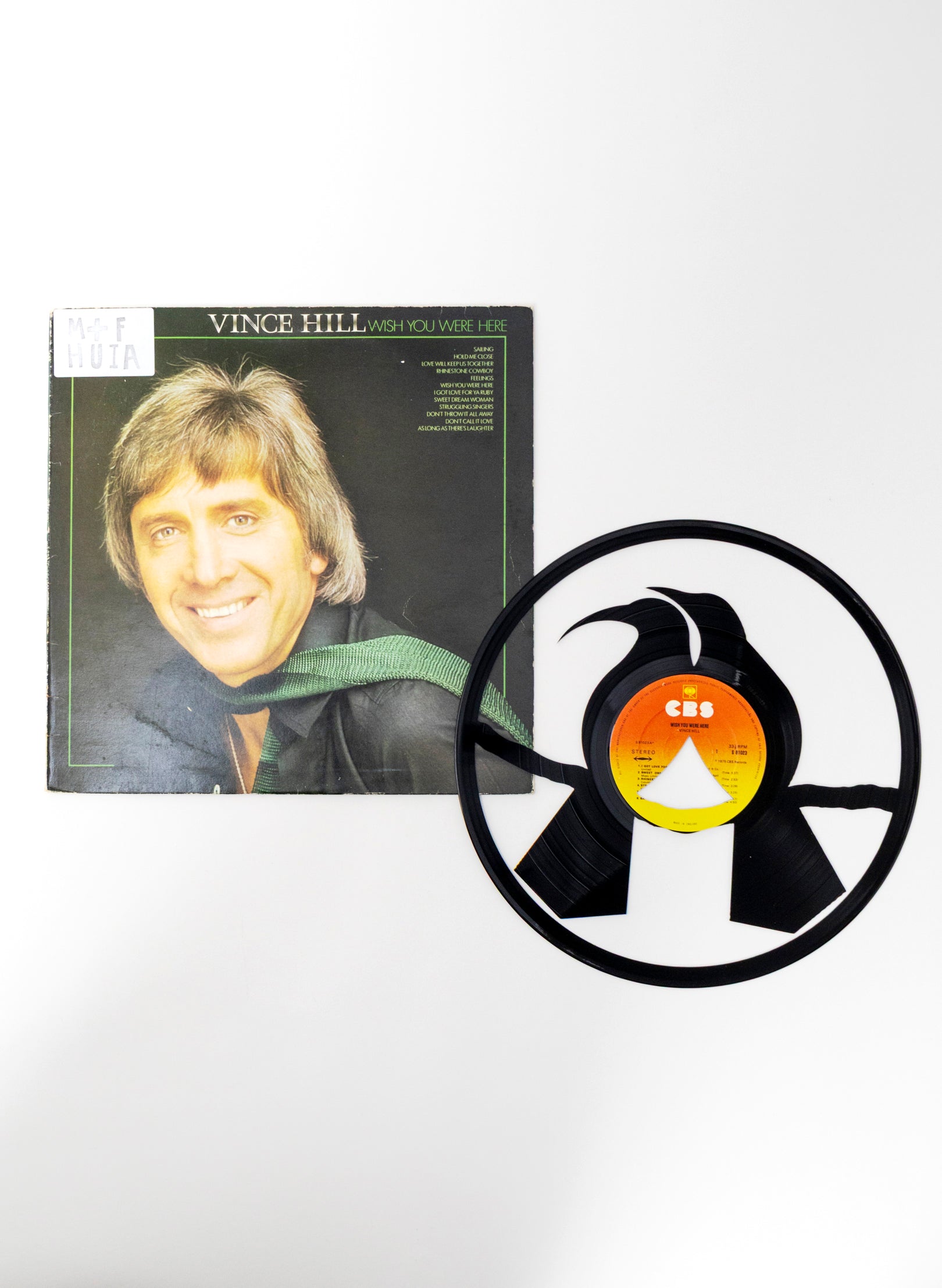 Male & Female Huia | Wish You Were Here