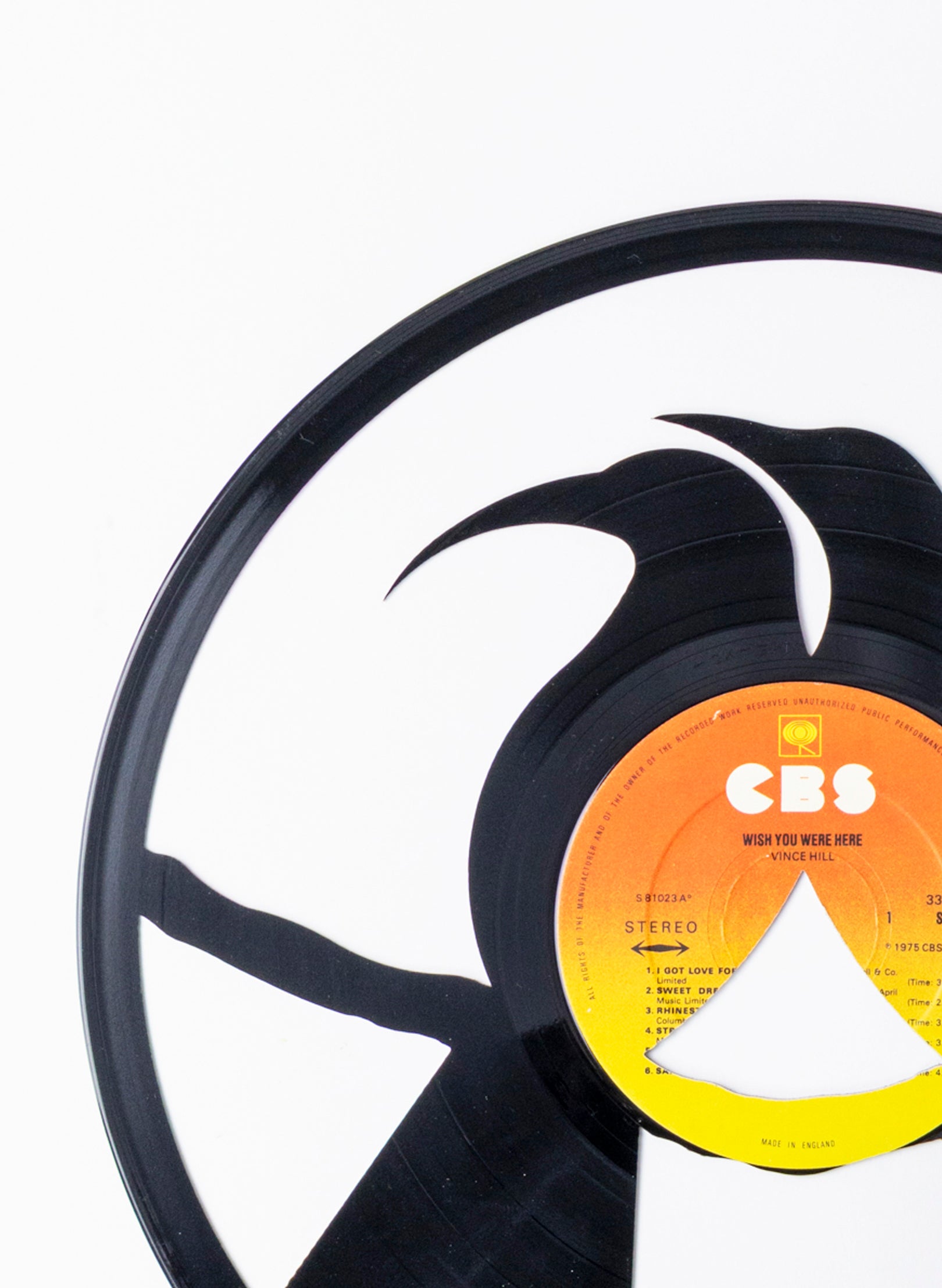 Male & Female Huia | Wish You Were Here