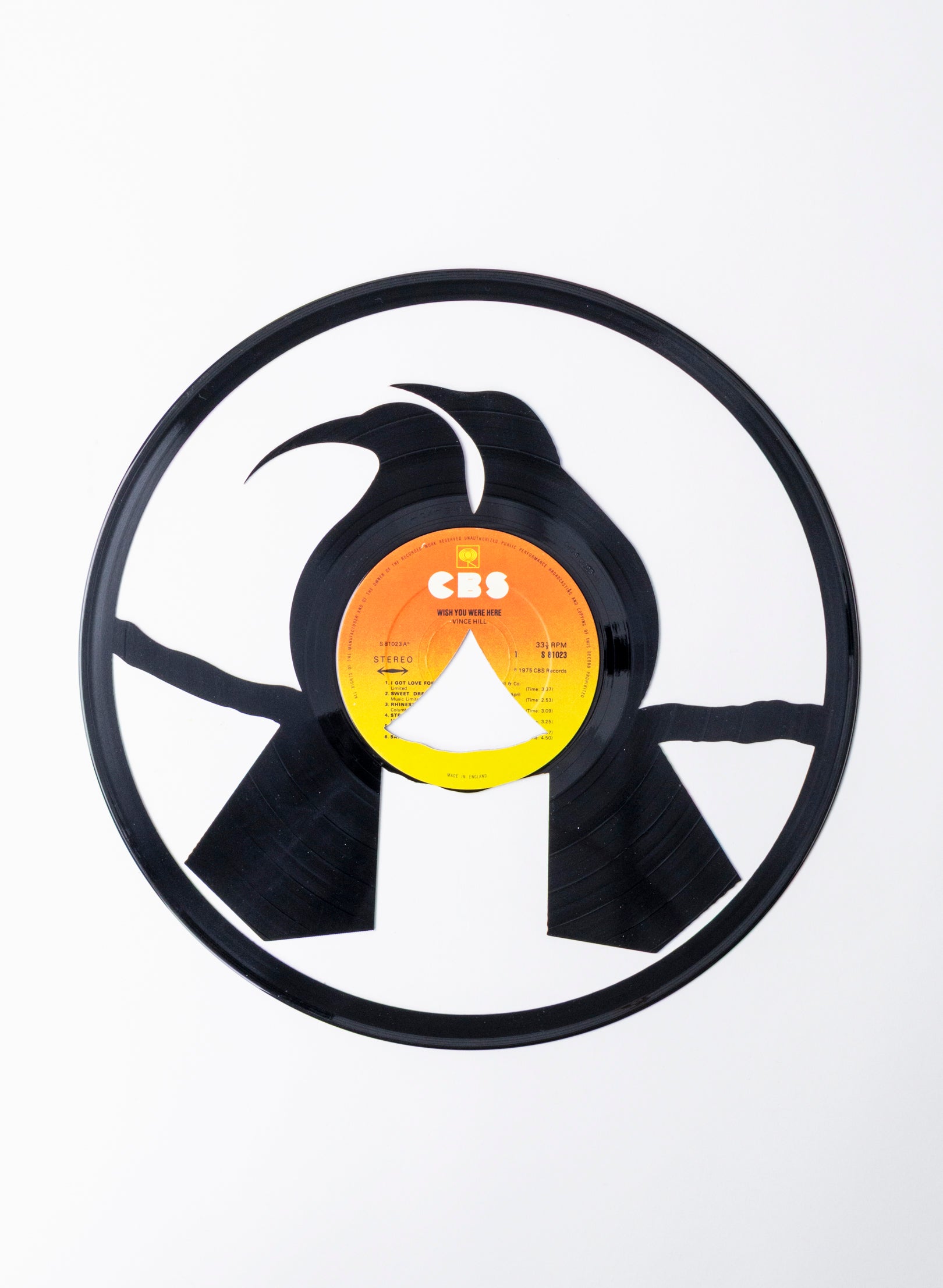 Male & Female Huia | Wish You Were Here