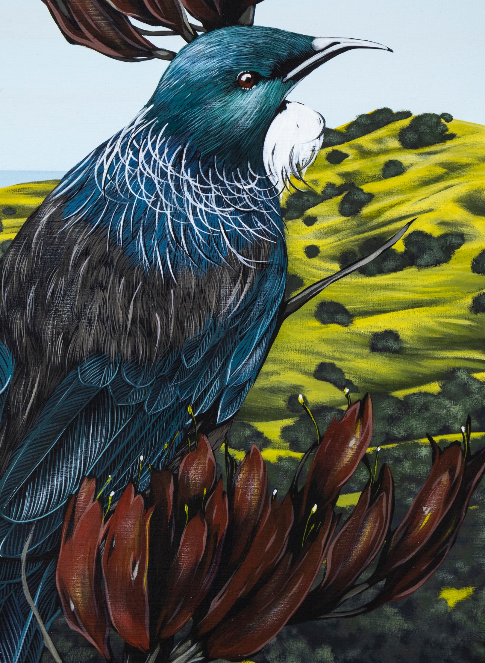 Coromandel Tūī - Original Painting