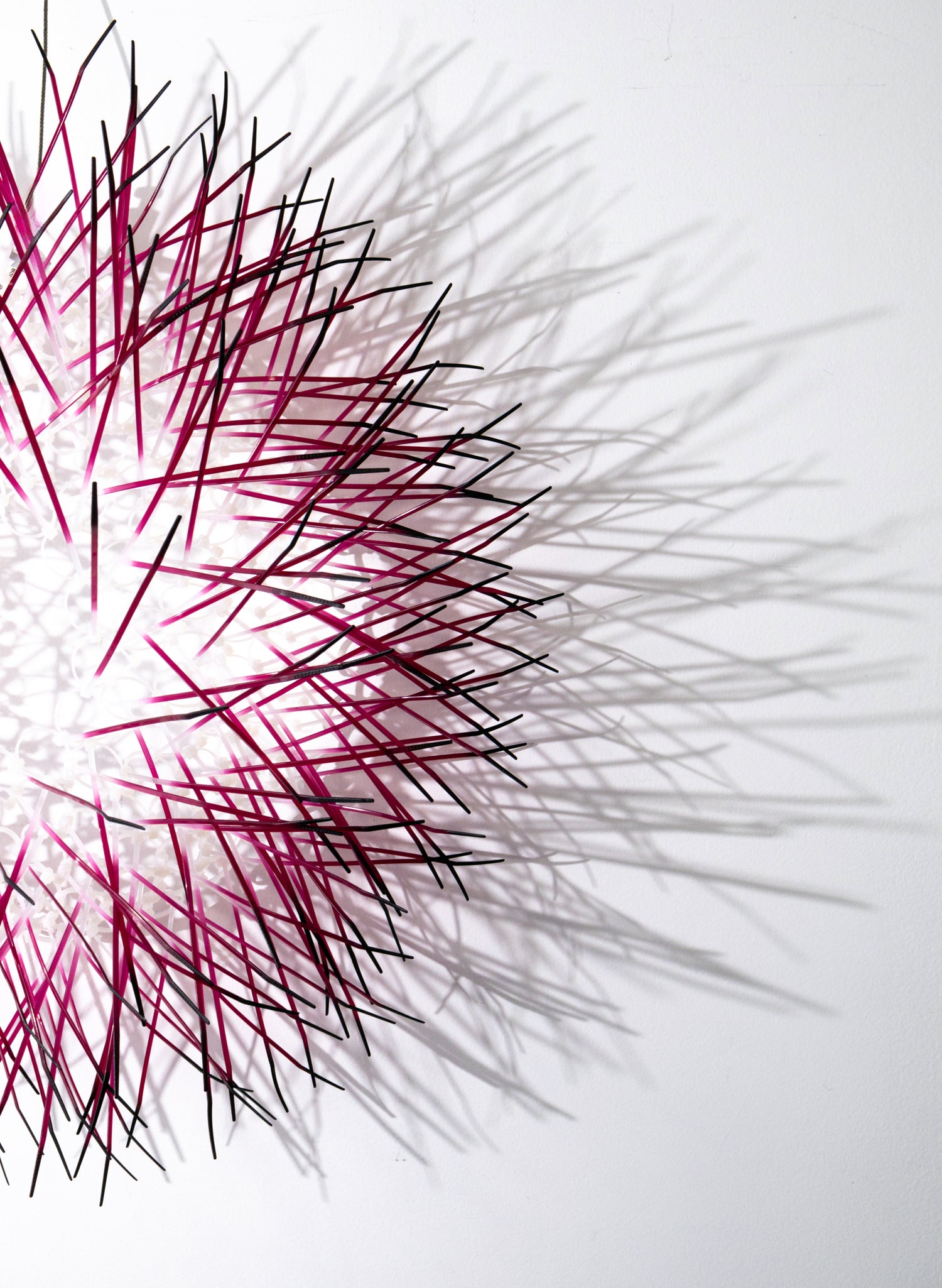 Large Kina - Fuschia