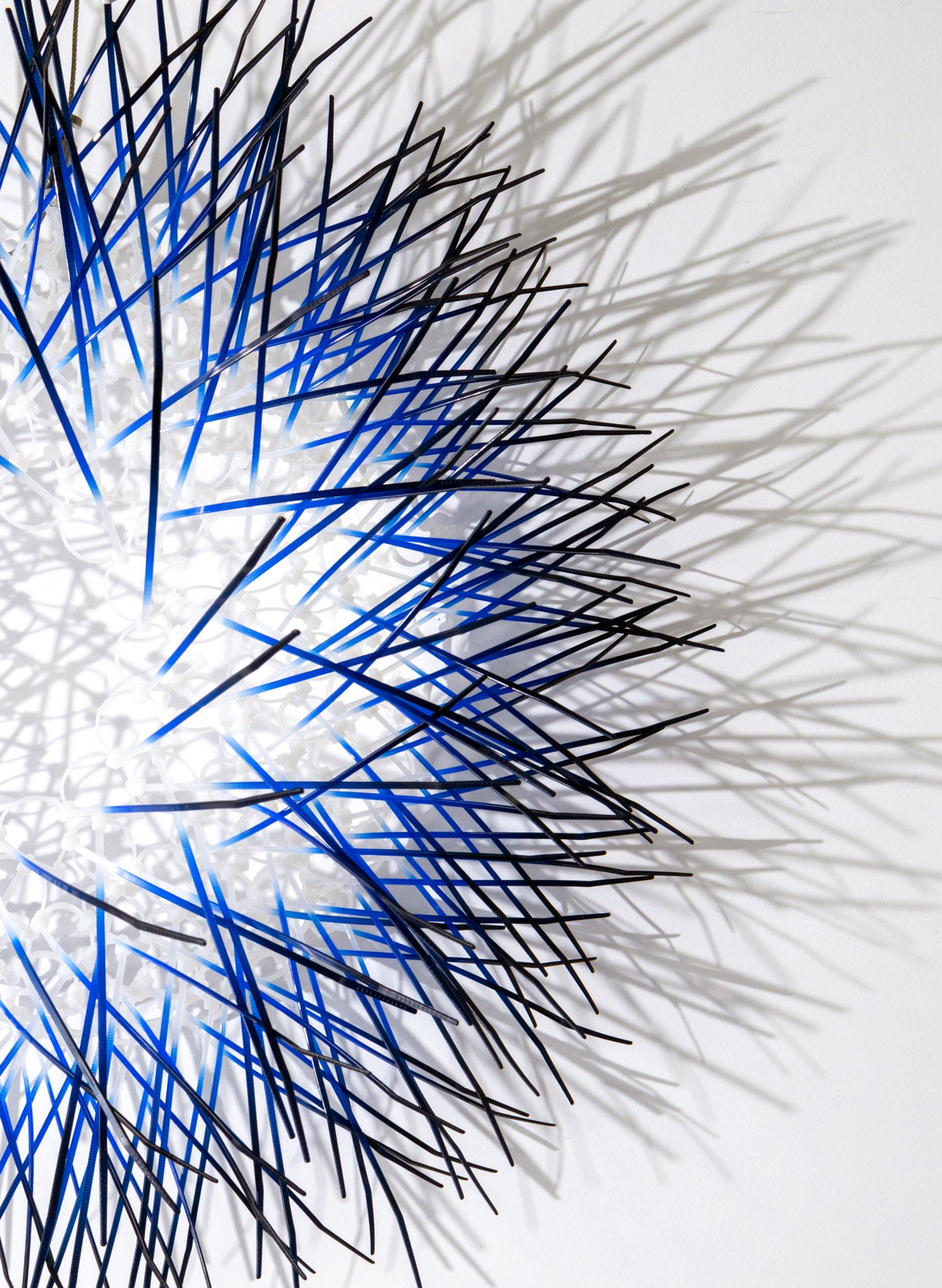 Large Kina - Royal Blue