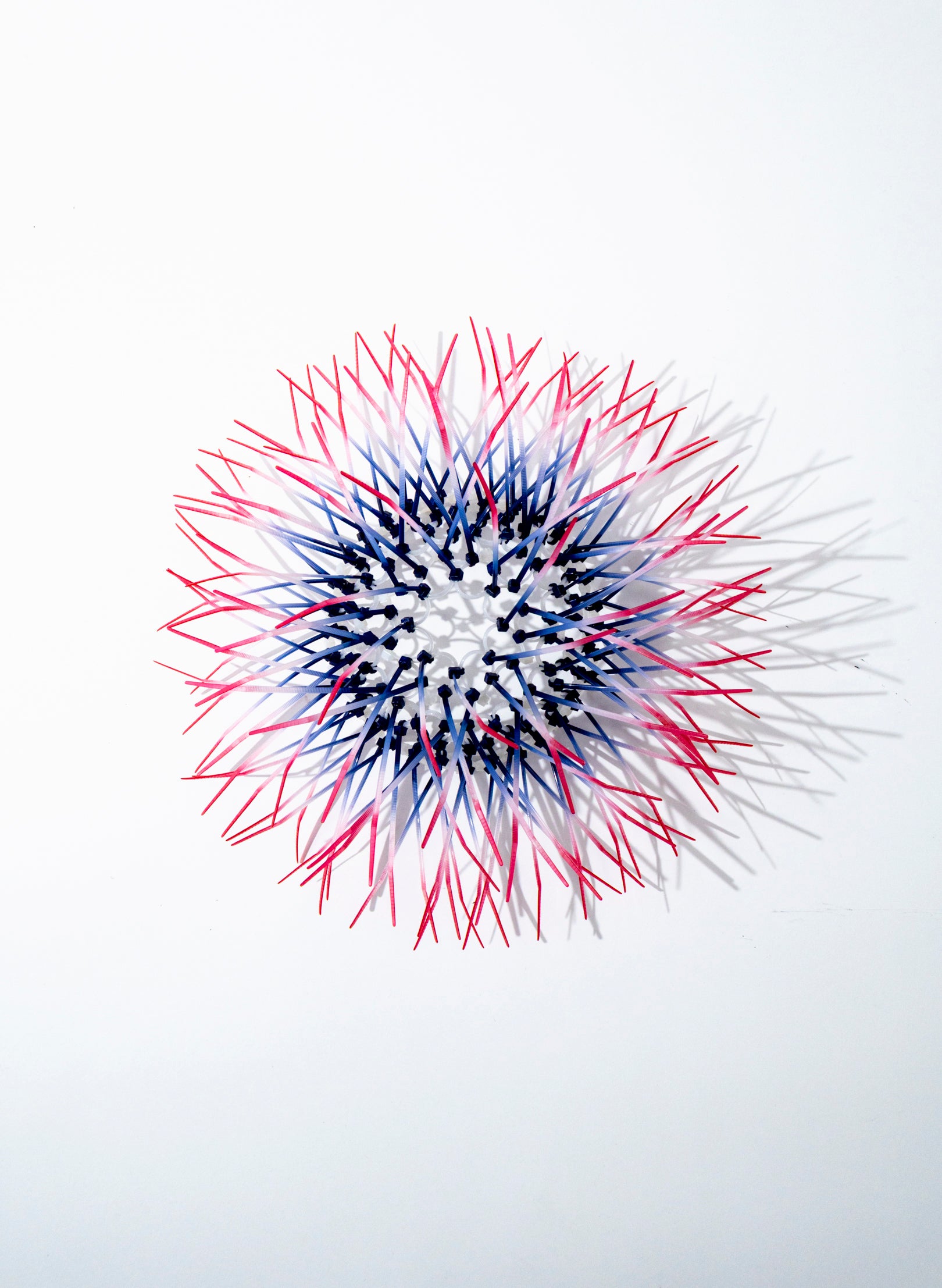 Mini Kina - Navy / Pink