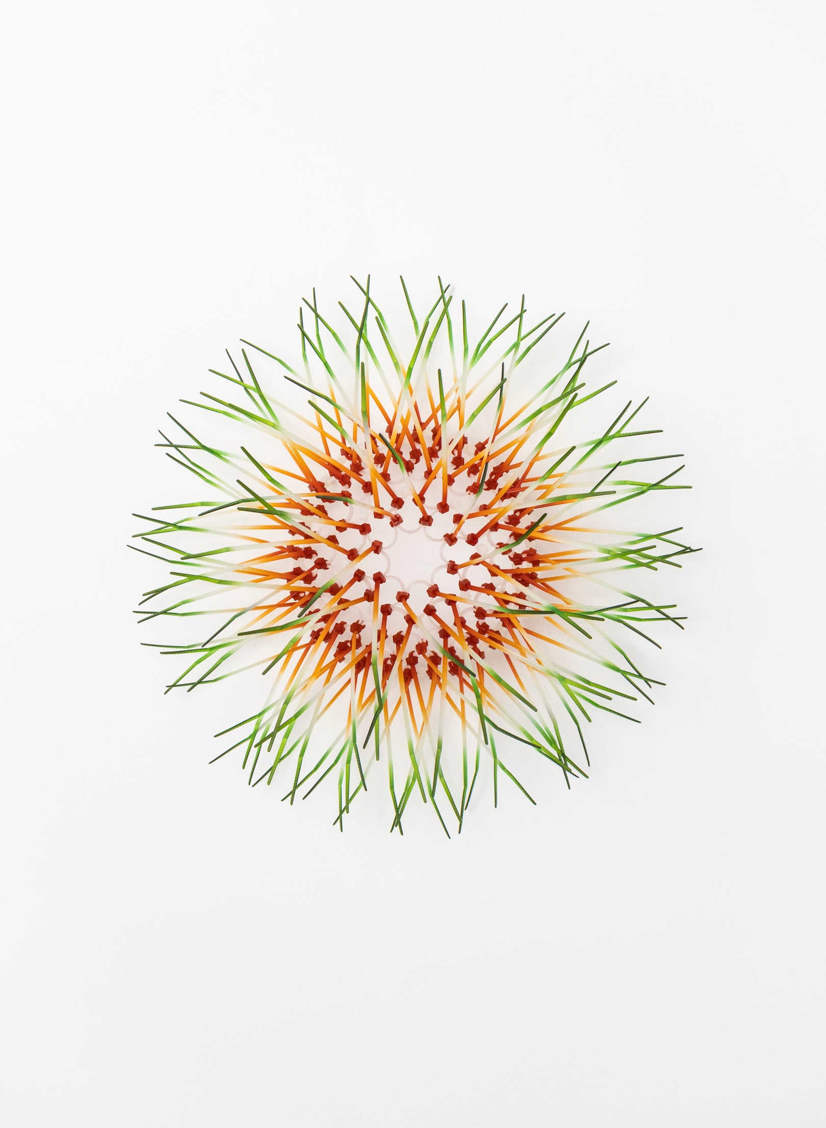 Mini Kina - Burnt Orange / Green