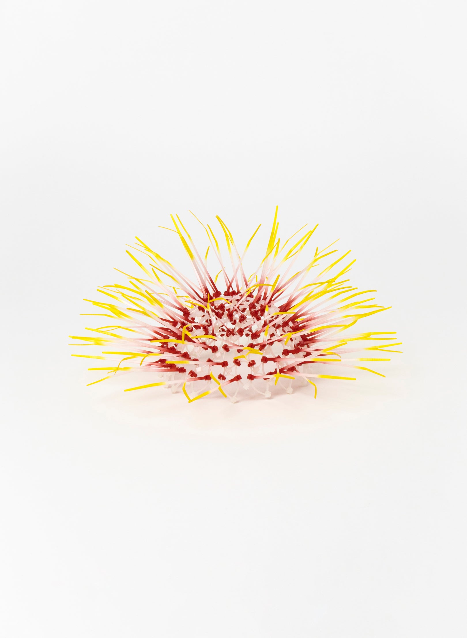 Mini Kina - Pink / Yellow