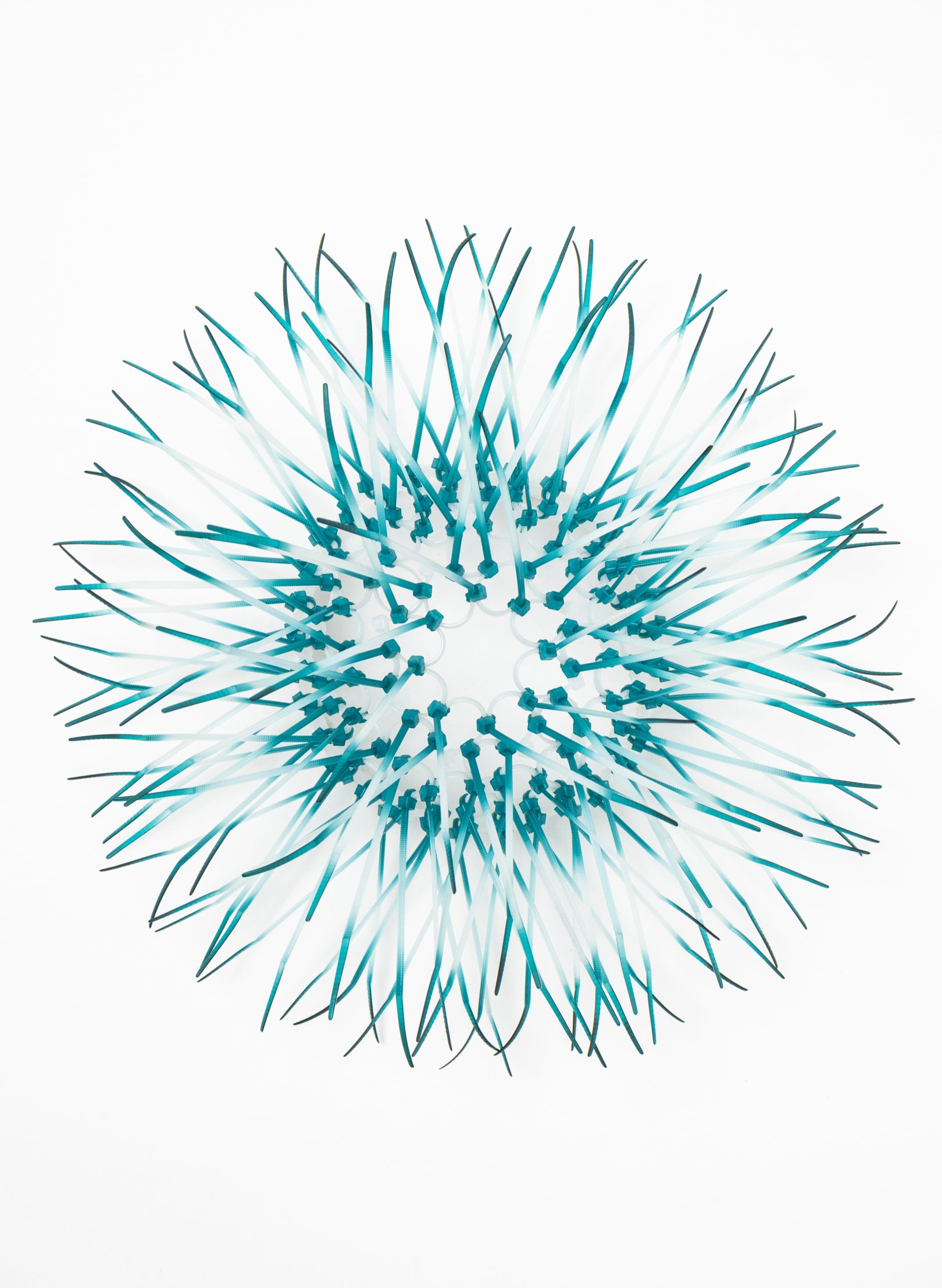 Mini Kina - Teal