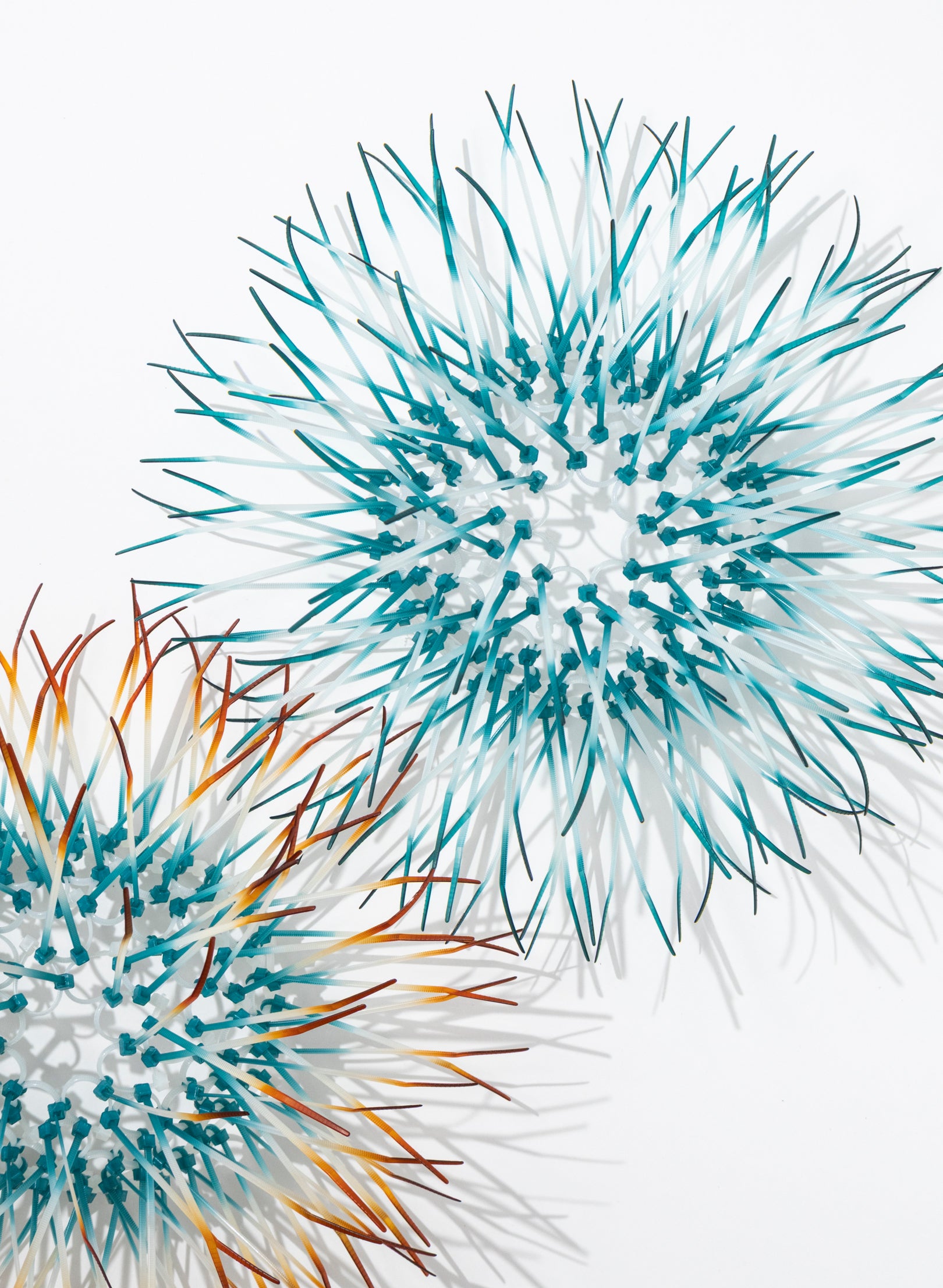 Mini Kina - Teal