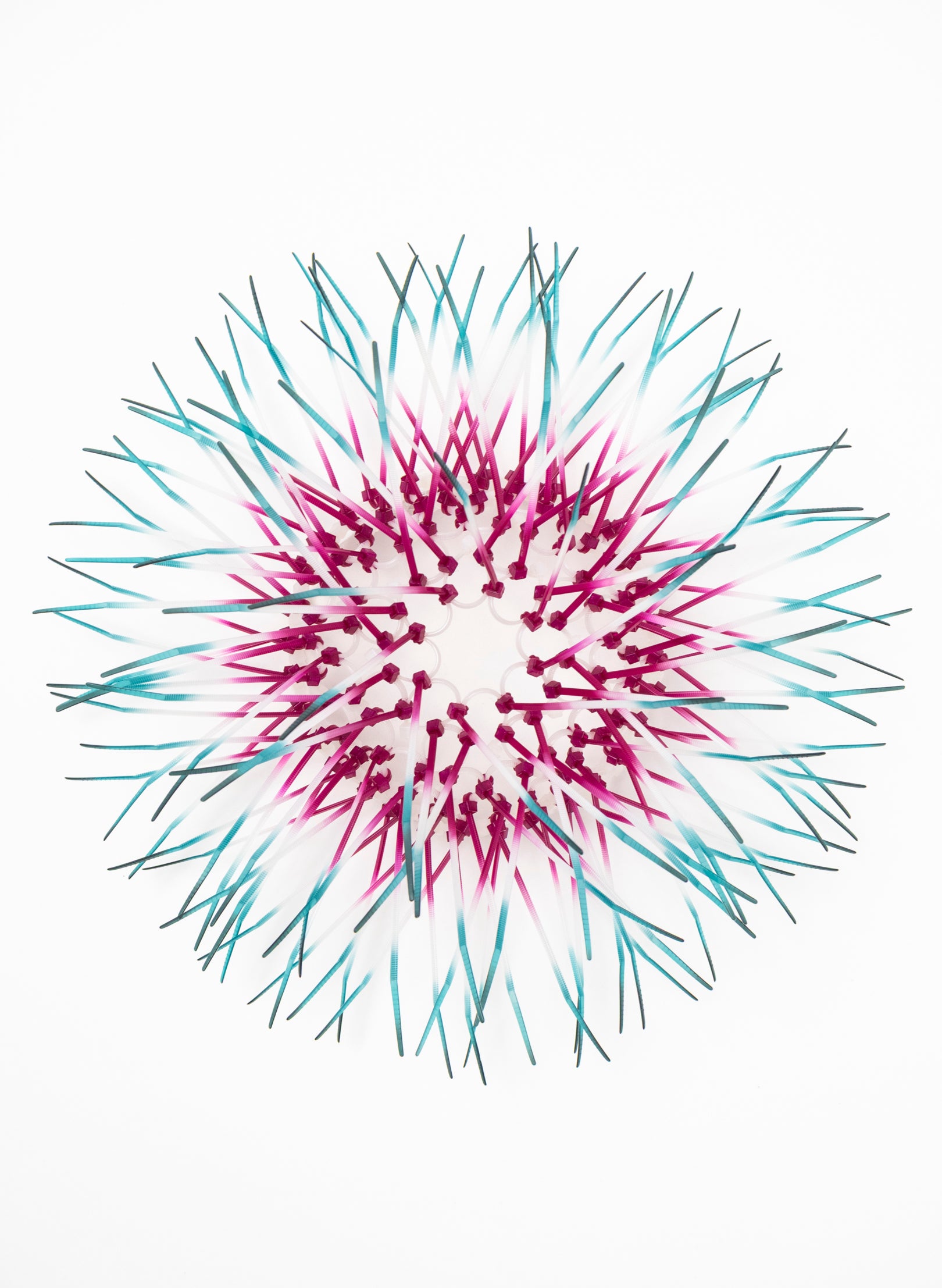 Mini Kina - Fuchsia / Teal