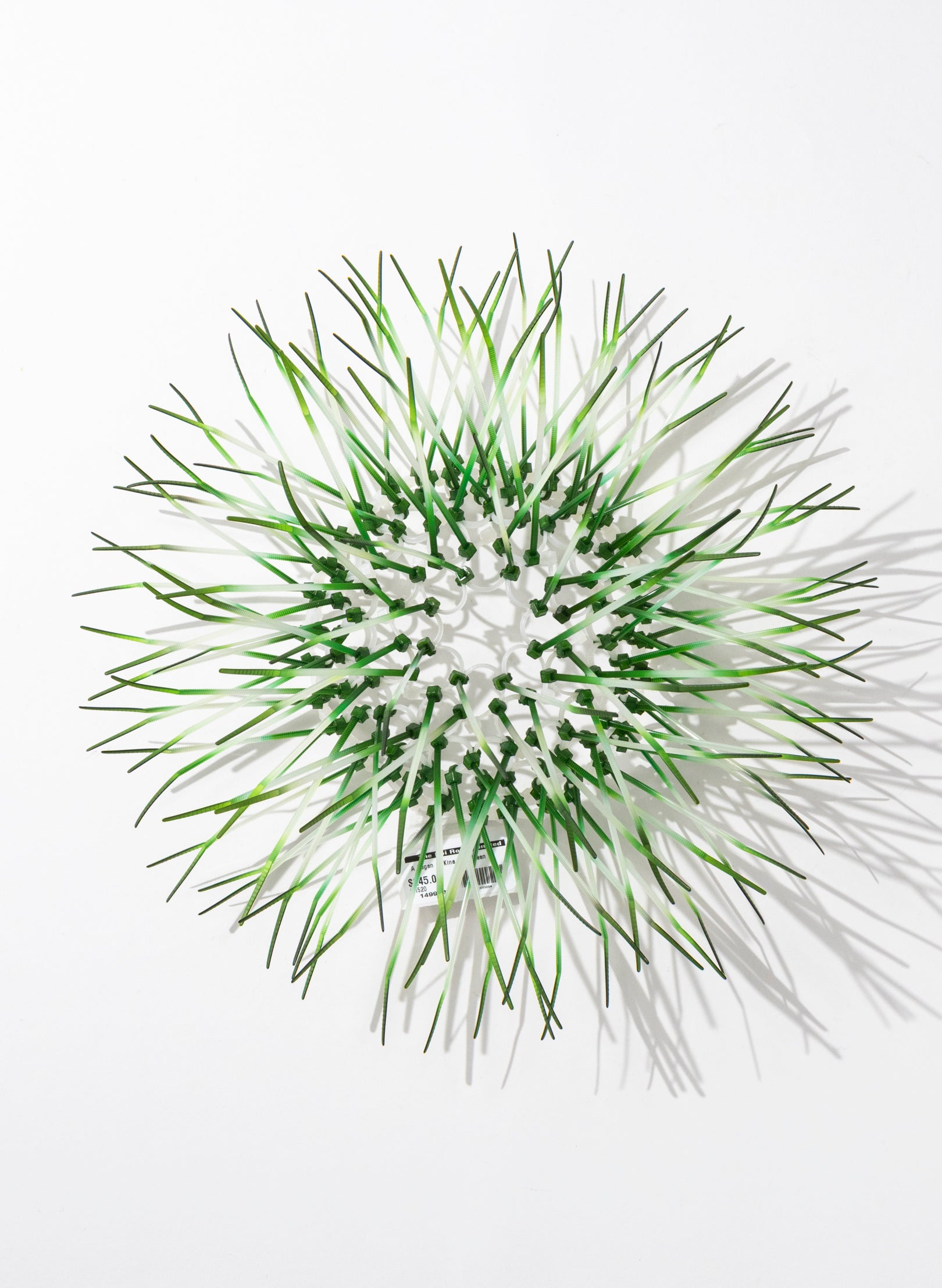 Mini Kina - Green