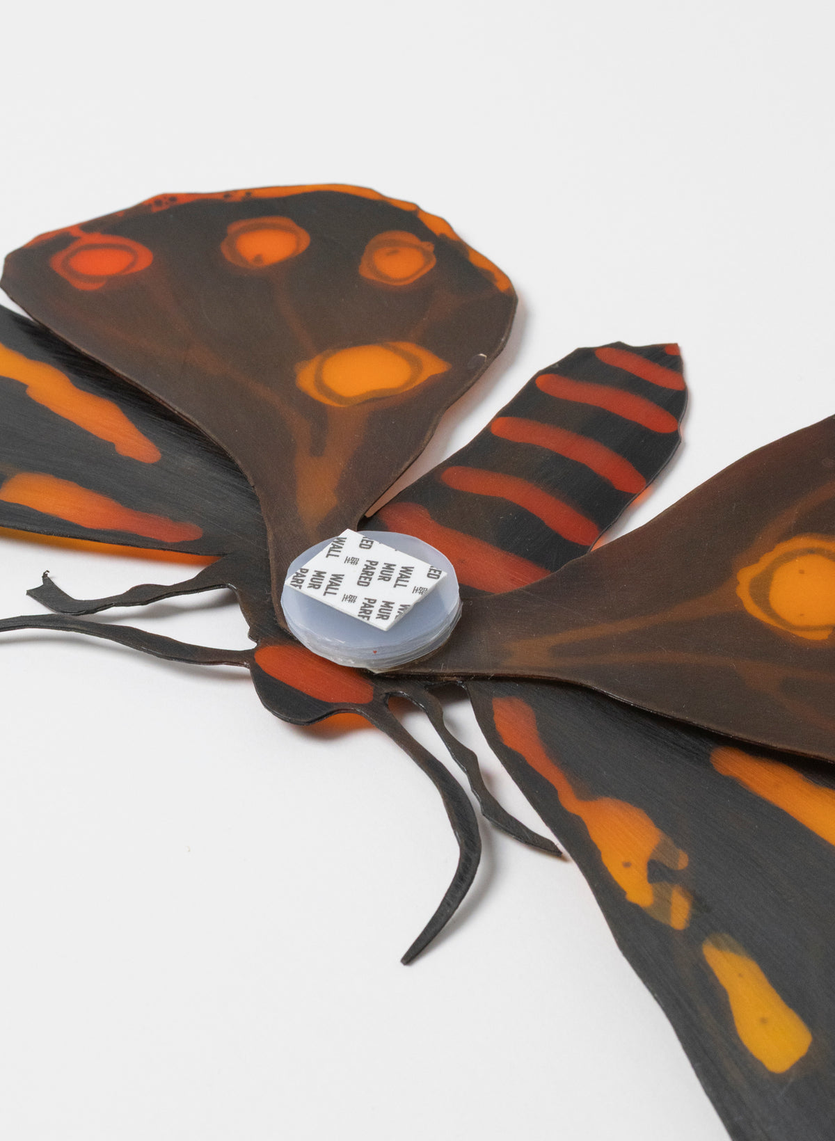 Tiger Moth