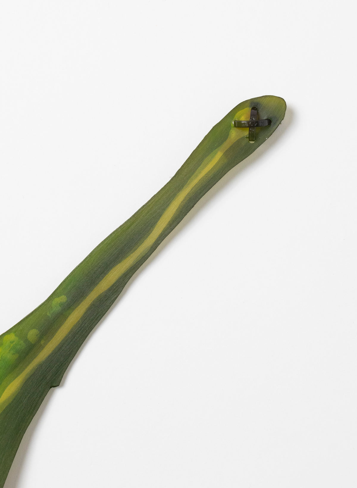 Lancewood Leaf - Small
