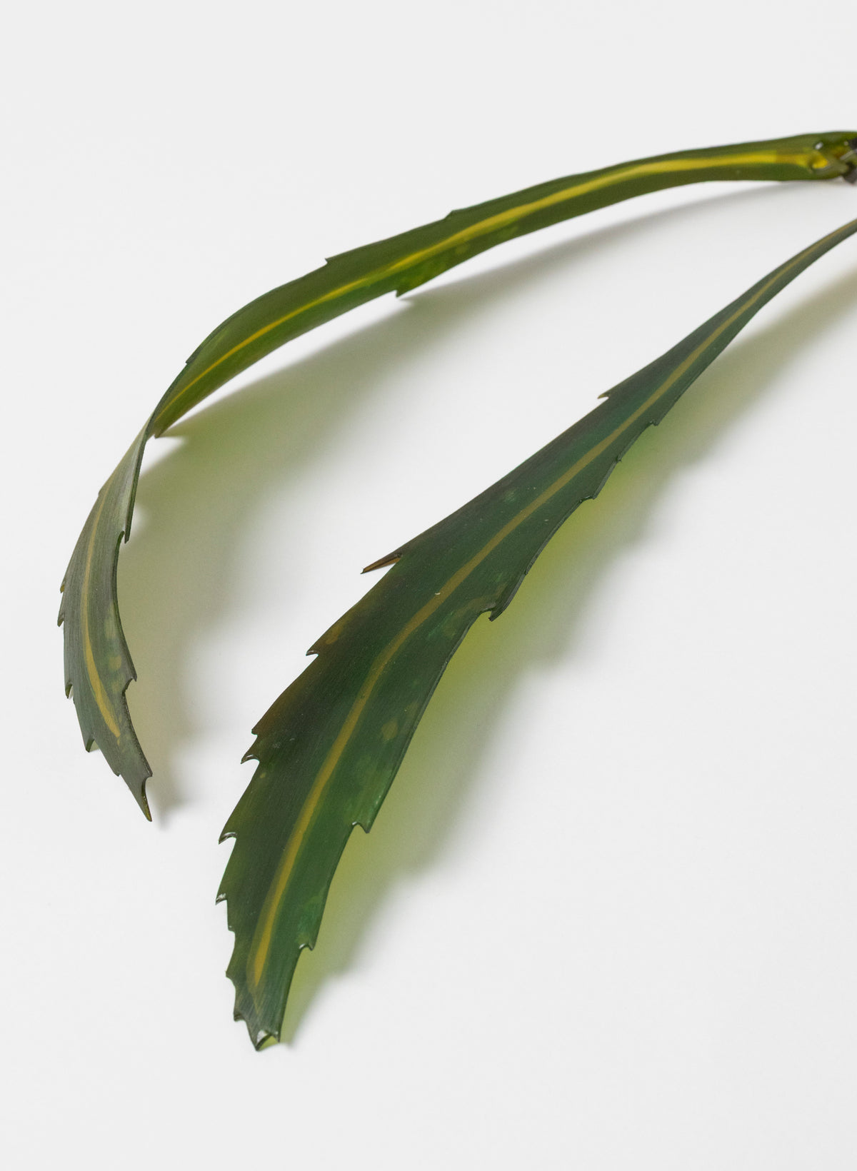 Lancewood Leaf - Small