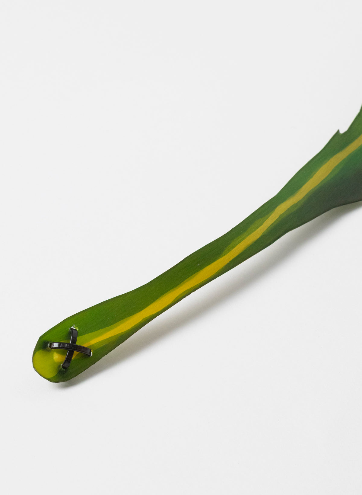 Lancewood Leaf - Small