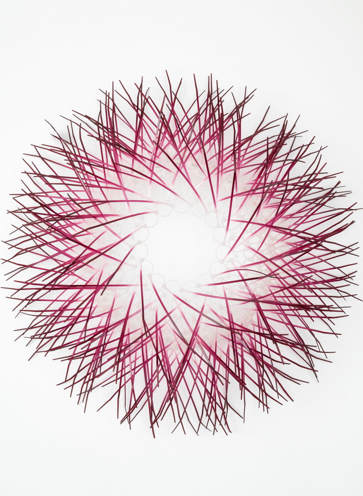Large Kina - Plum