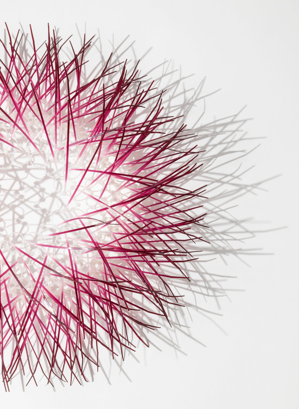 Large Kina - Plum
