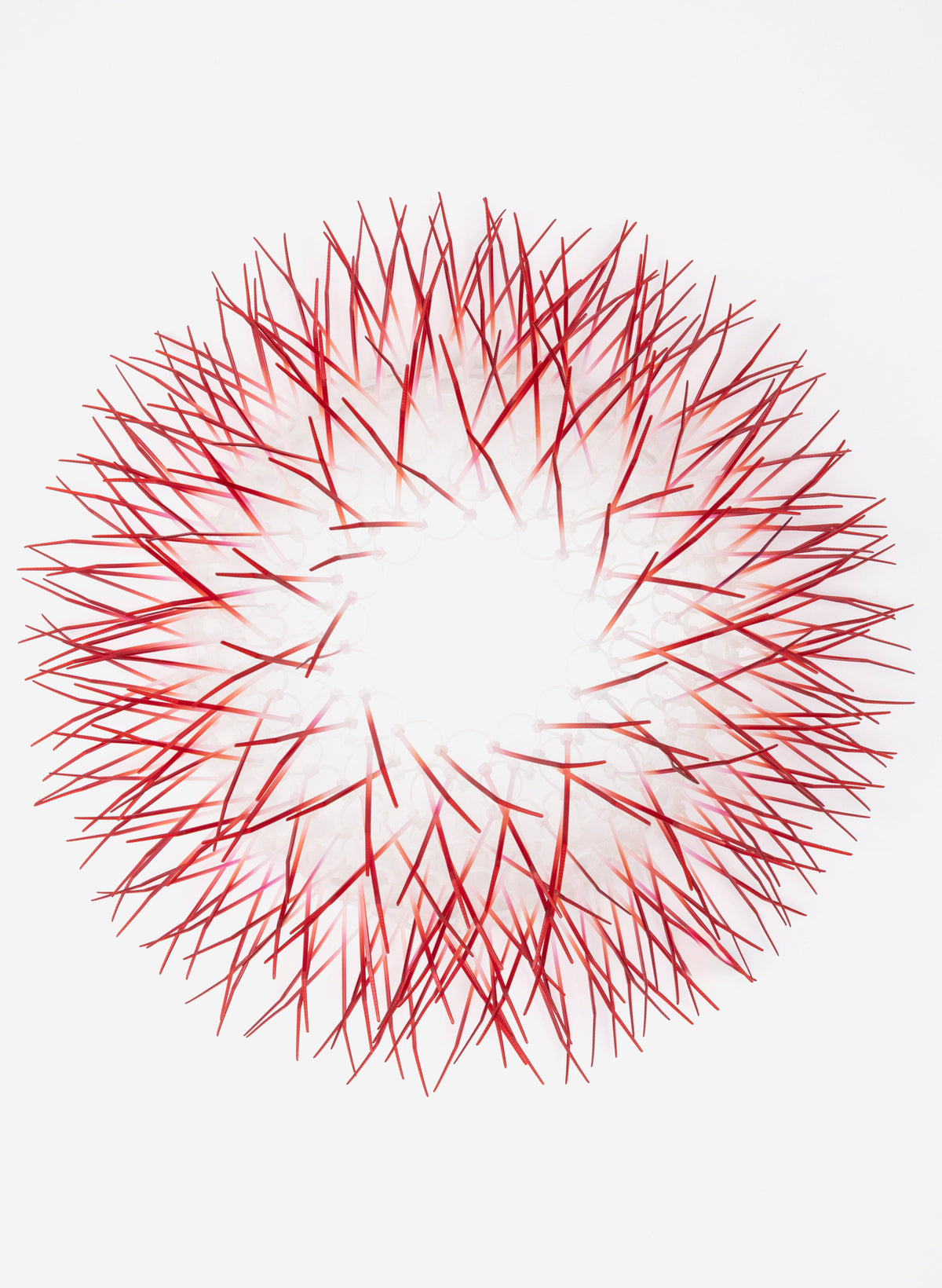 Medium Kina - Red