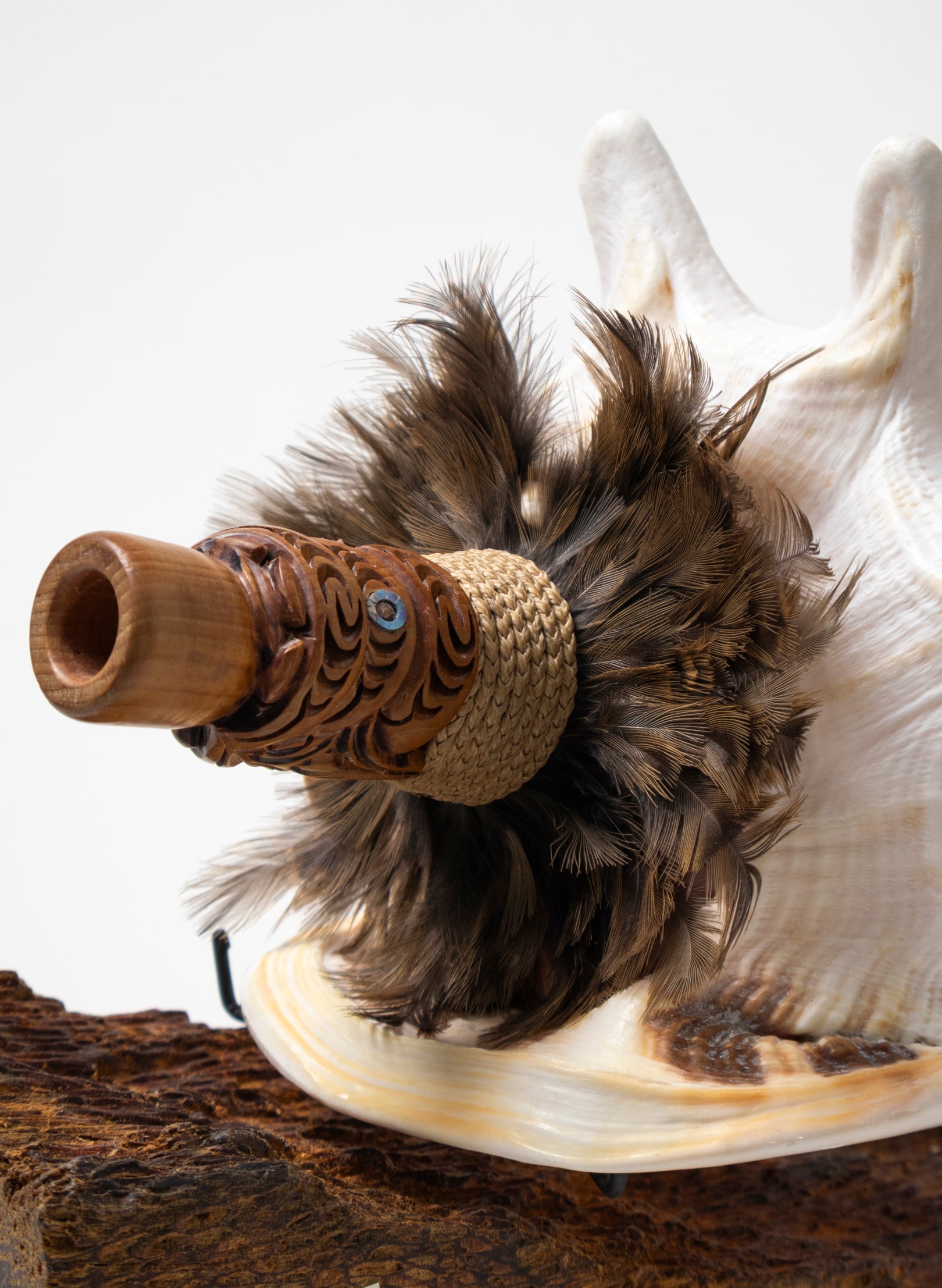 Pūtātara on Stand