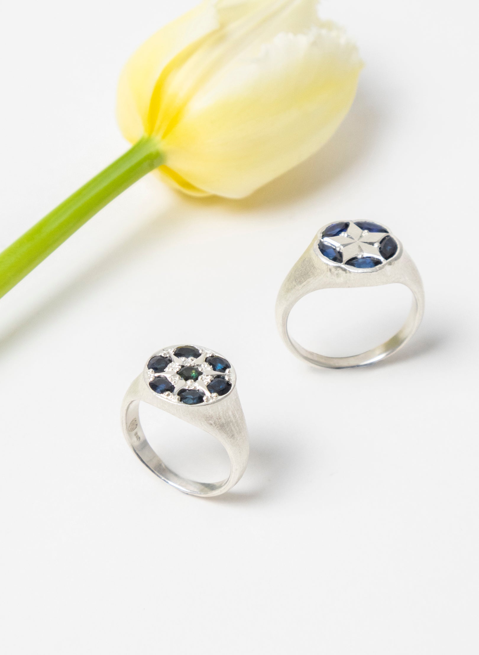 Frost Star Ring