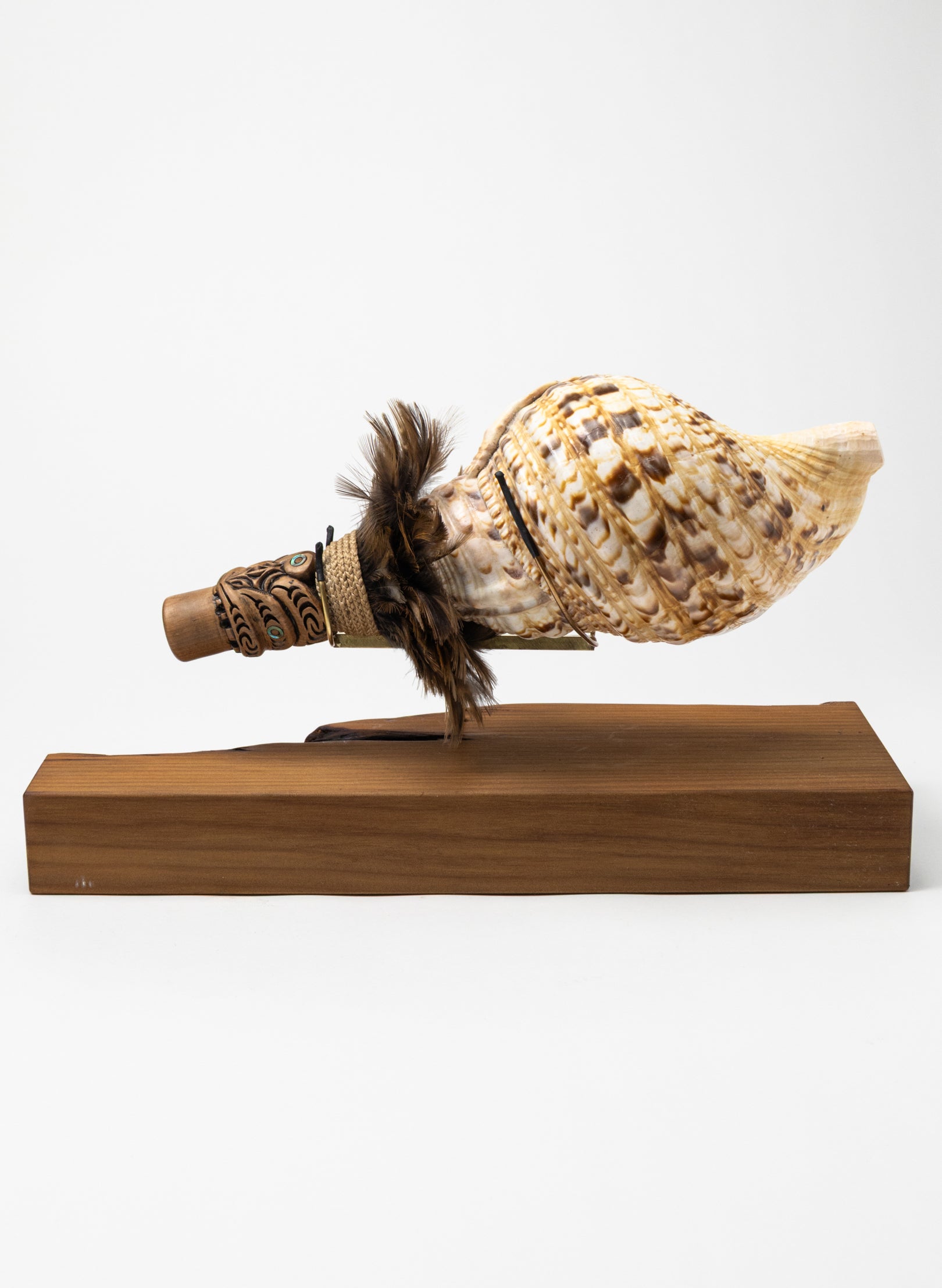 Pūtātara on Stand