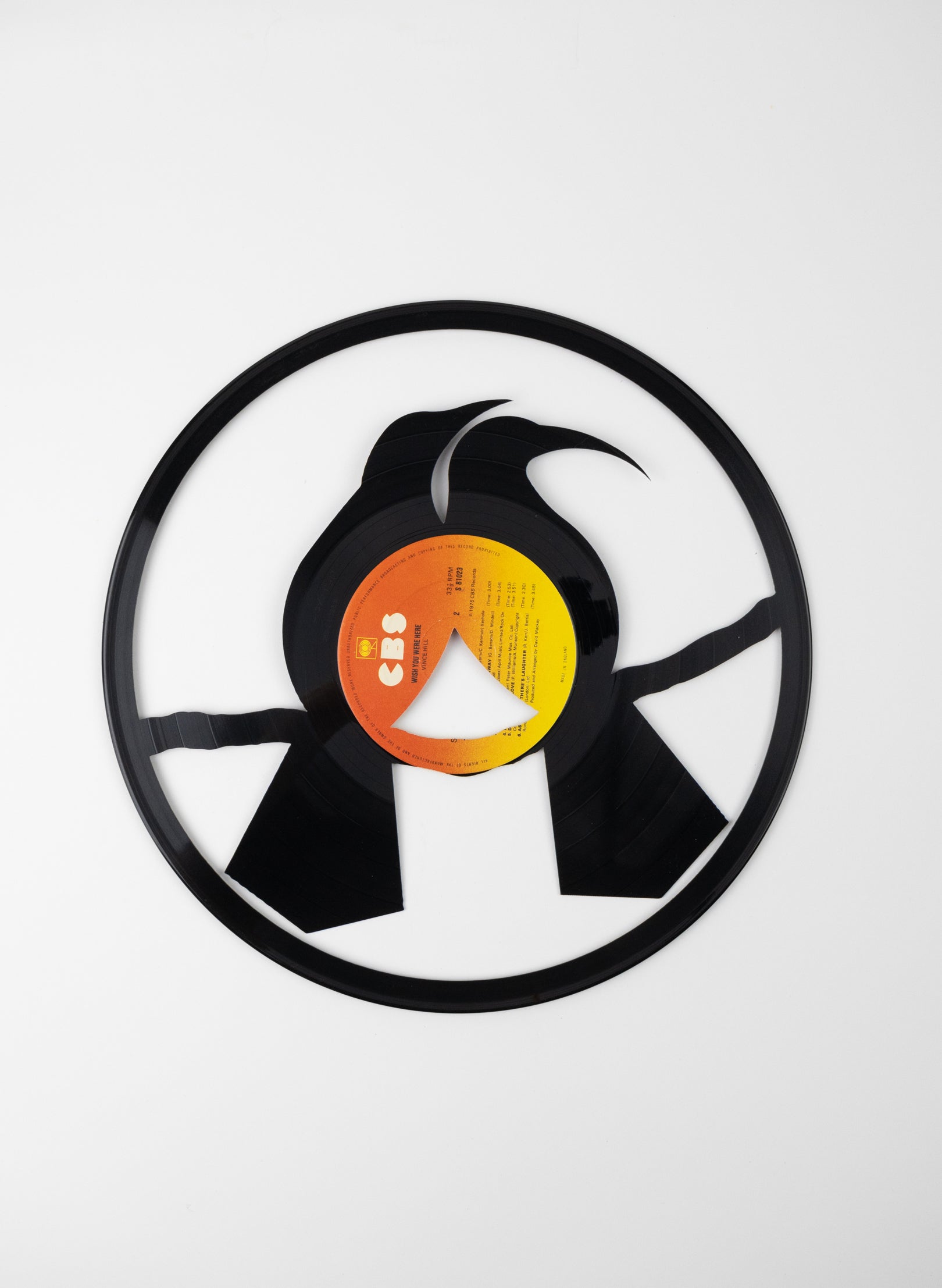 Male & Female Huia | Wish You Were Here